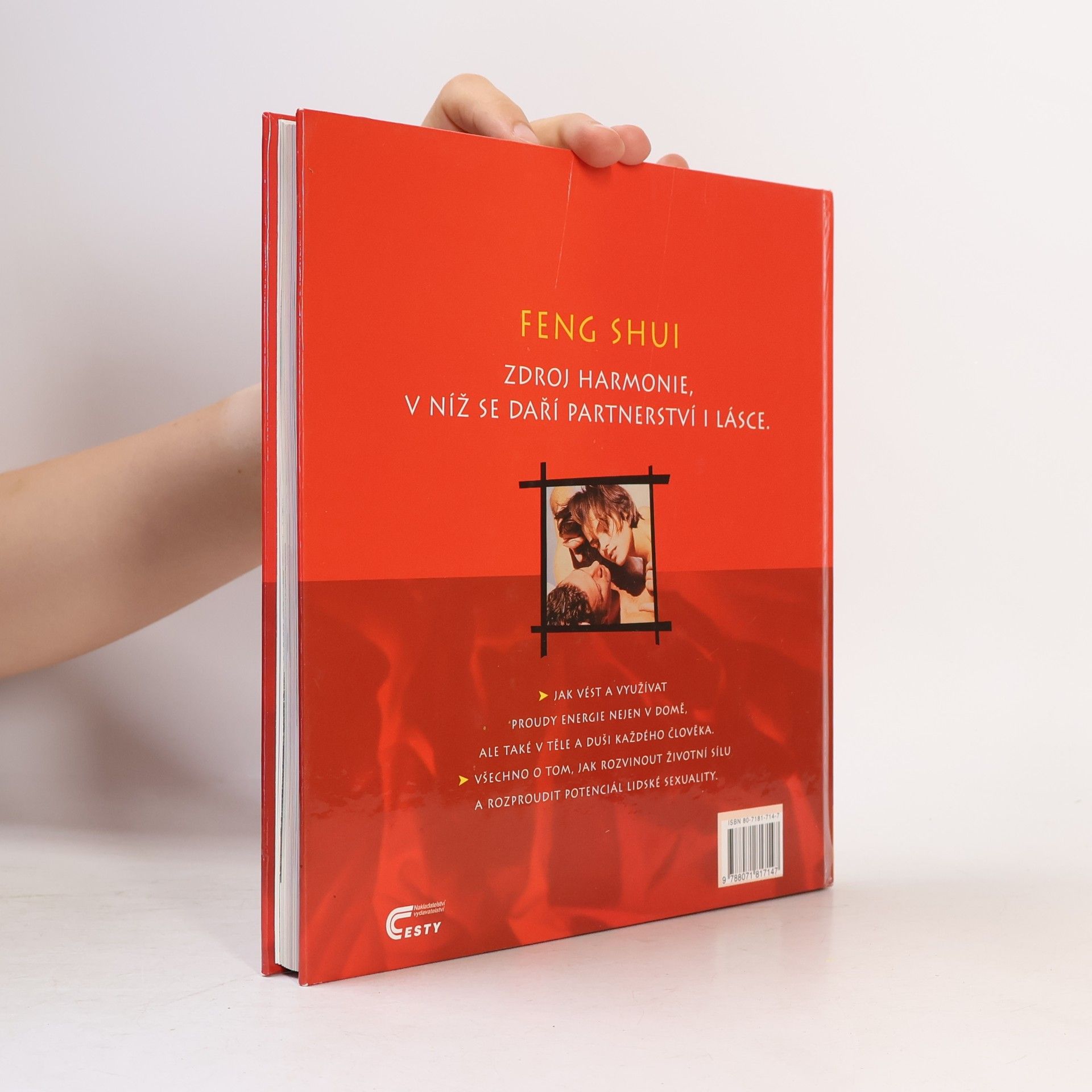 Günther Sator Feng shui. Harmonie v partnerství a lásce
