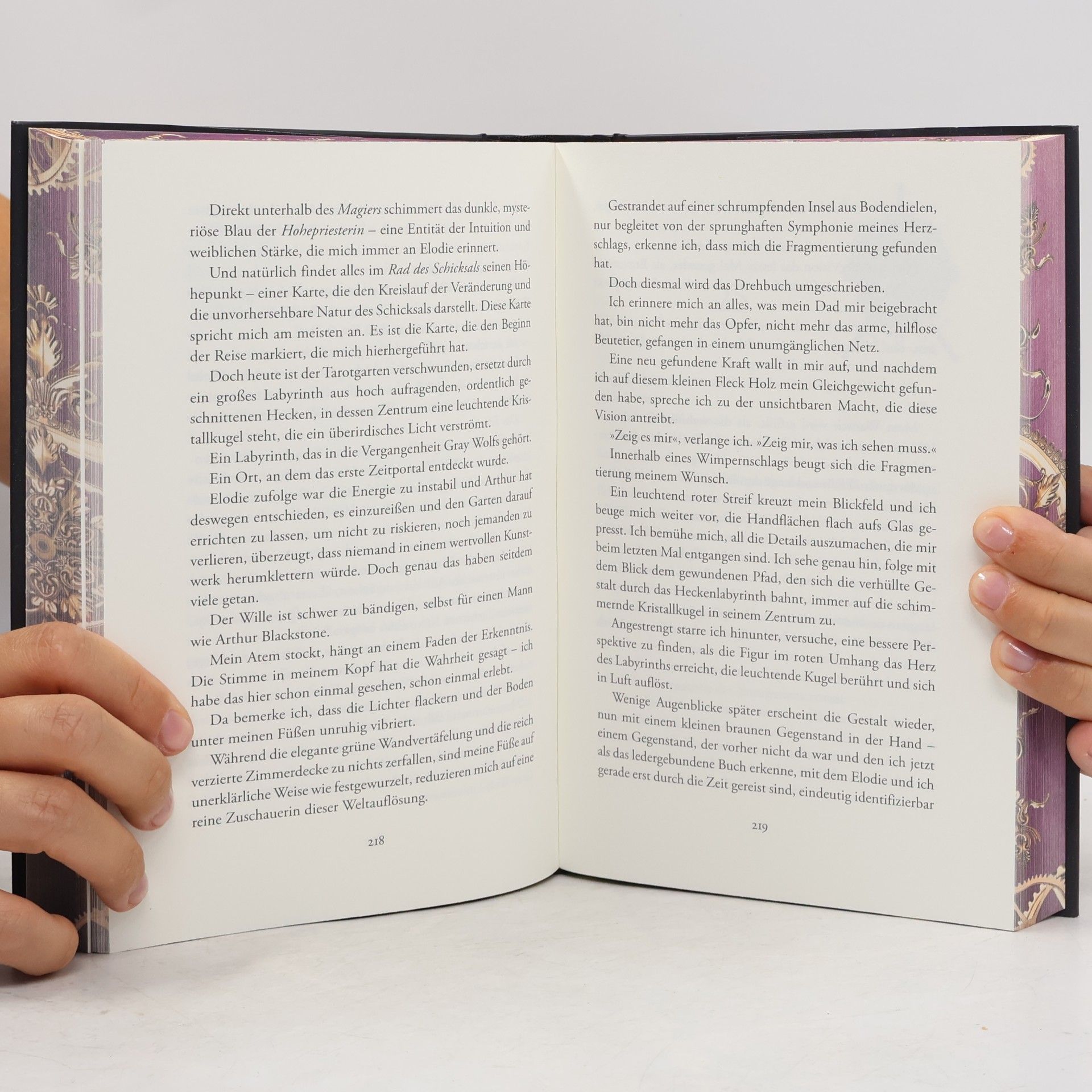 Alyson Noël Chasing Eternity / Gray Wolf Academy Bd.3