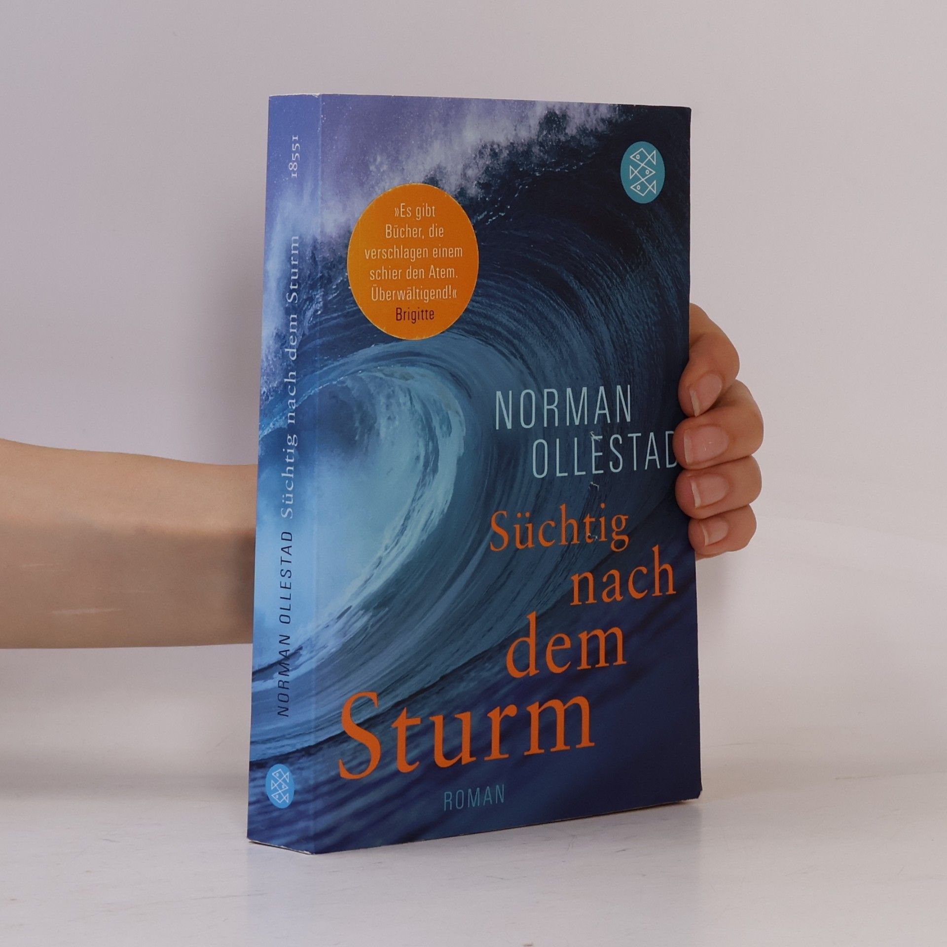 Norman Ollestad Süchtig nach dem Sturm