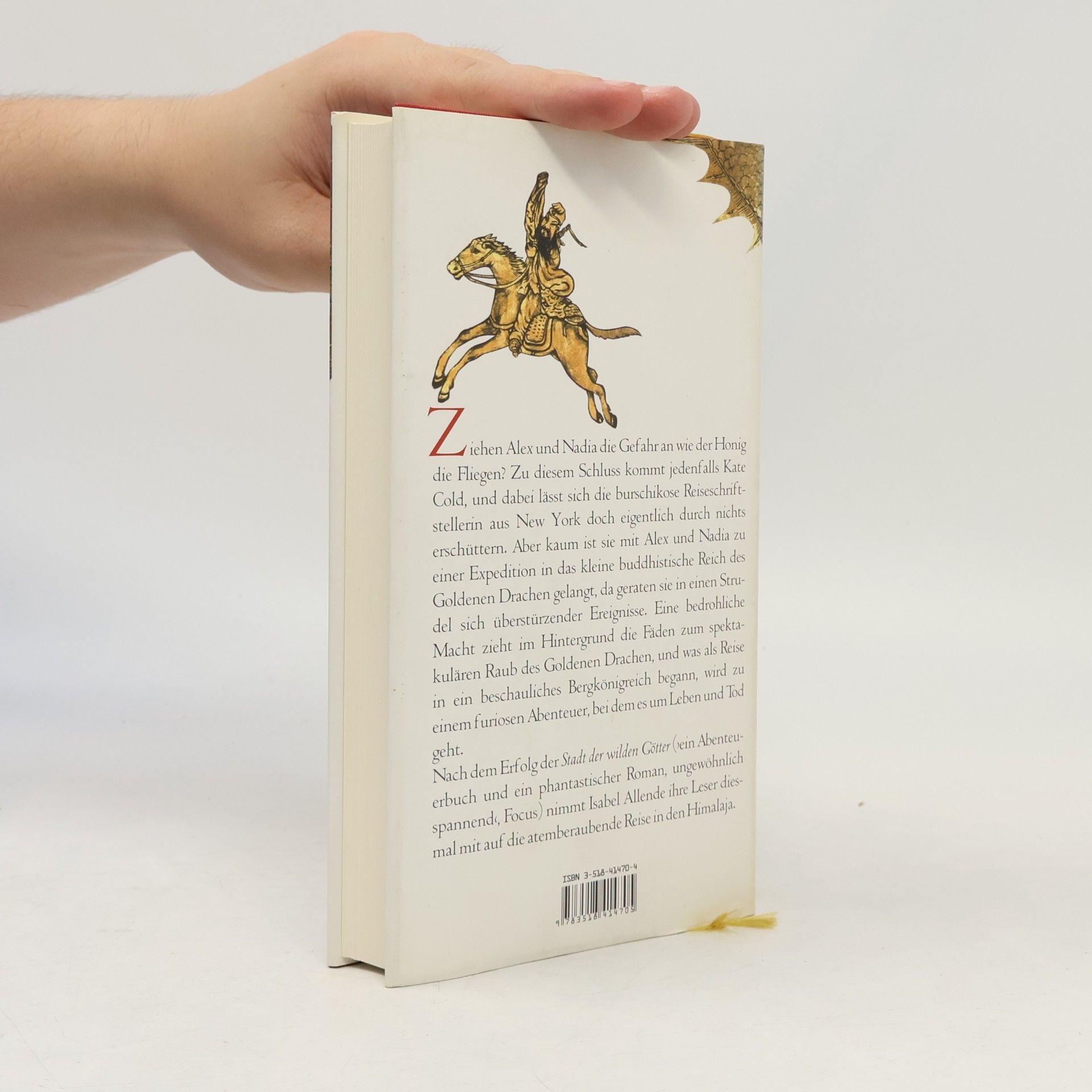 Isabel Allende Im Reich des goldenen Drachen