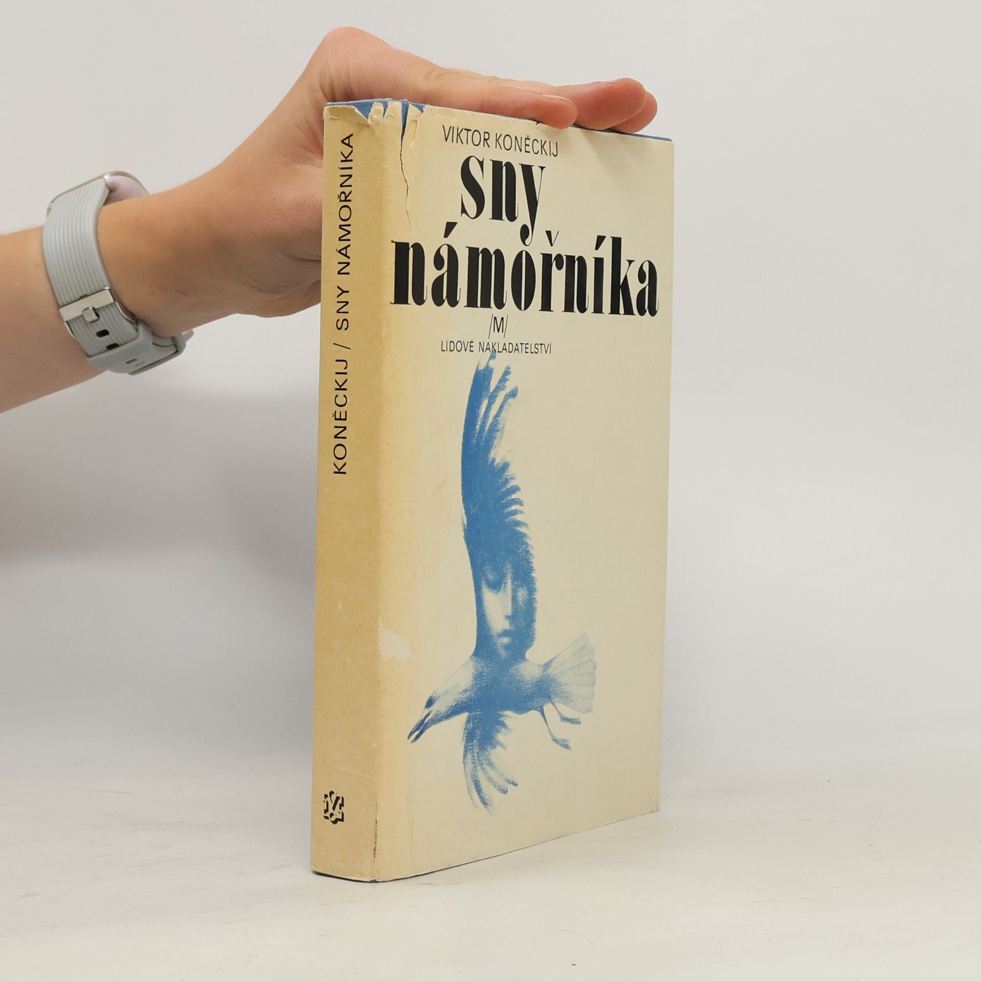 Viktor Koněckij Sny námořníka