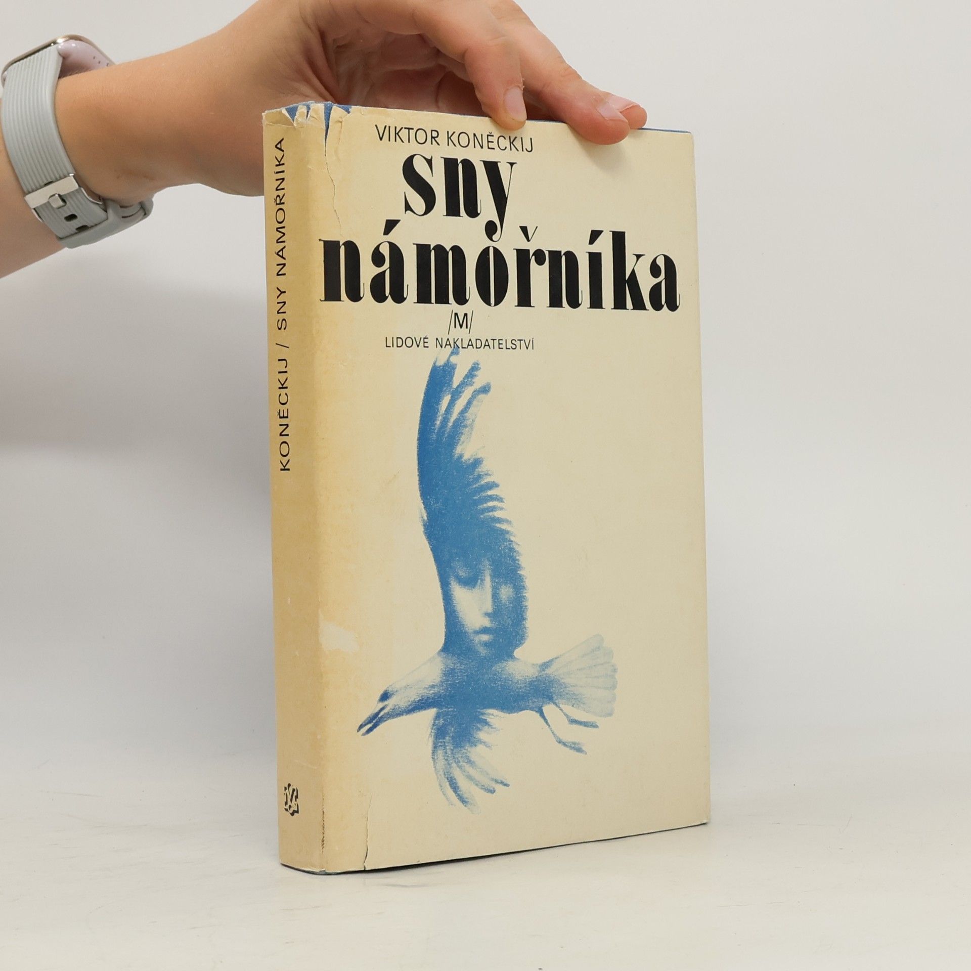 Viktor Koněckij Sny námořníka