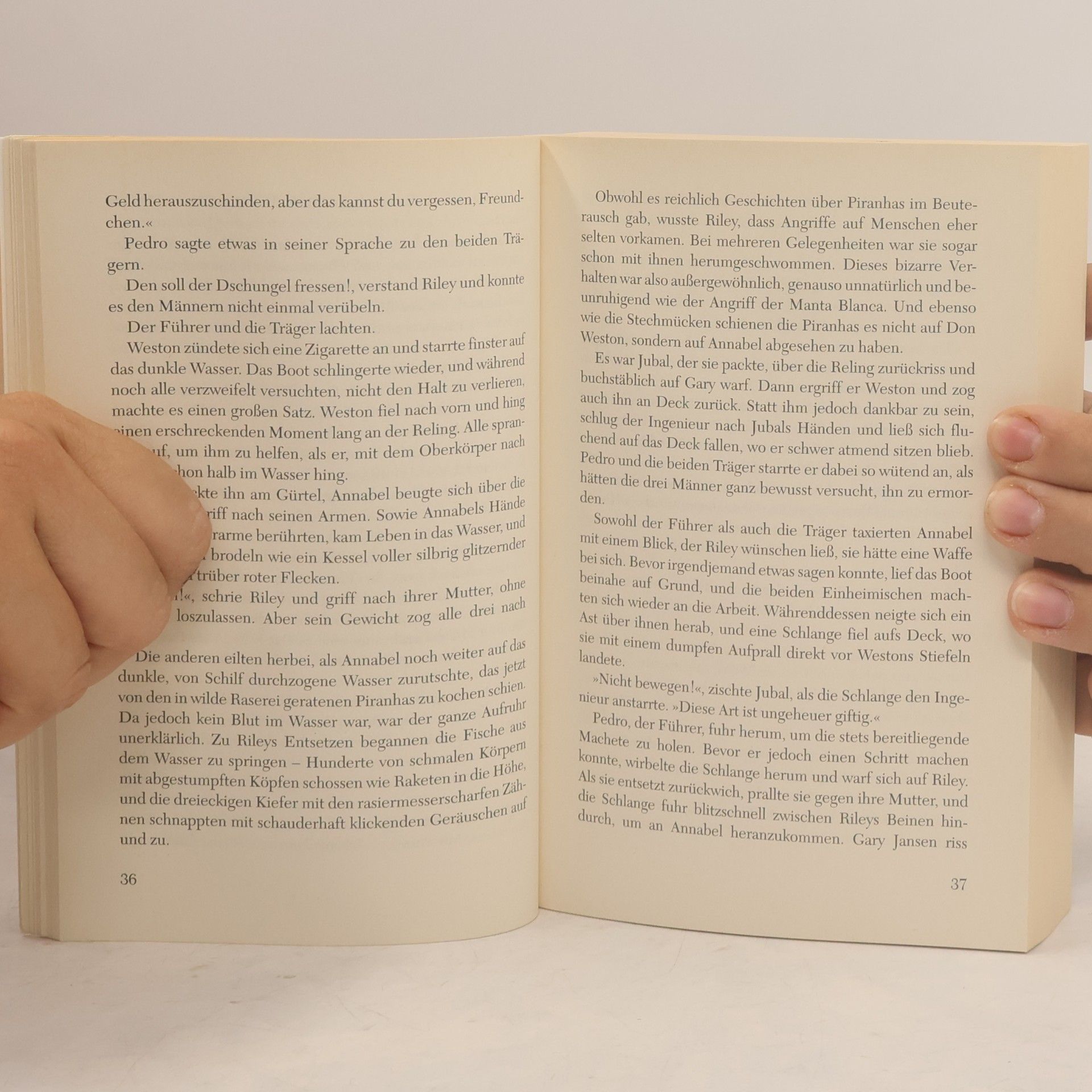 Christine Feehan Gefangene der Flammen