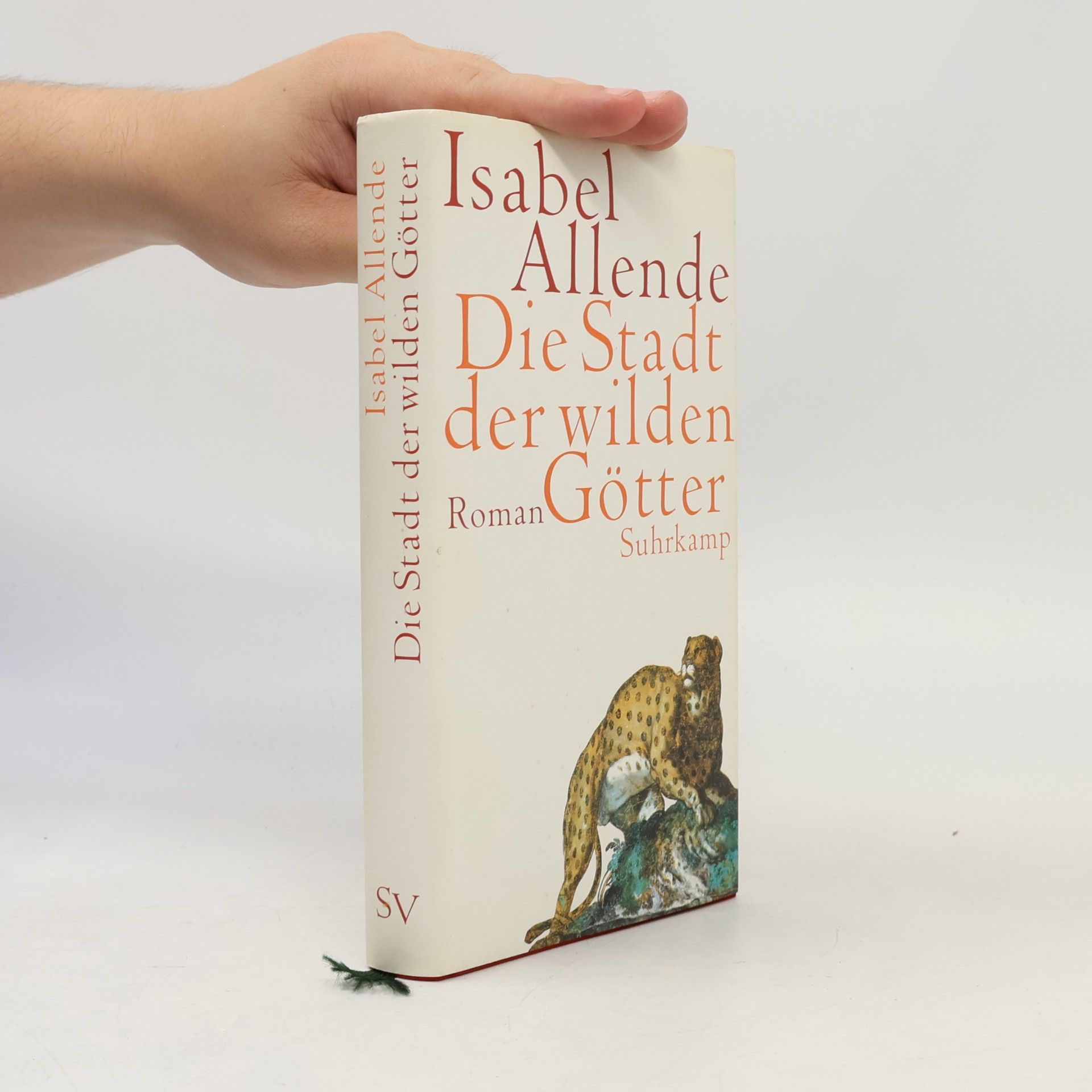 Isabel Allende Die Stadt der wilden Götter