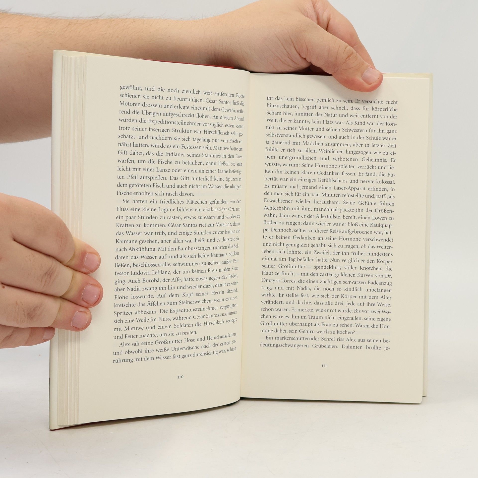Isabel Allende Die Stadt der wilden Götter