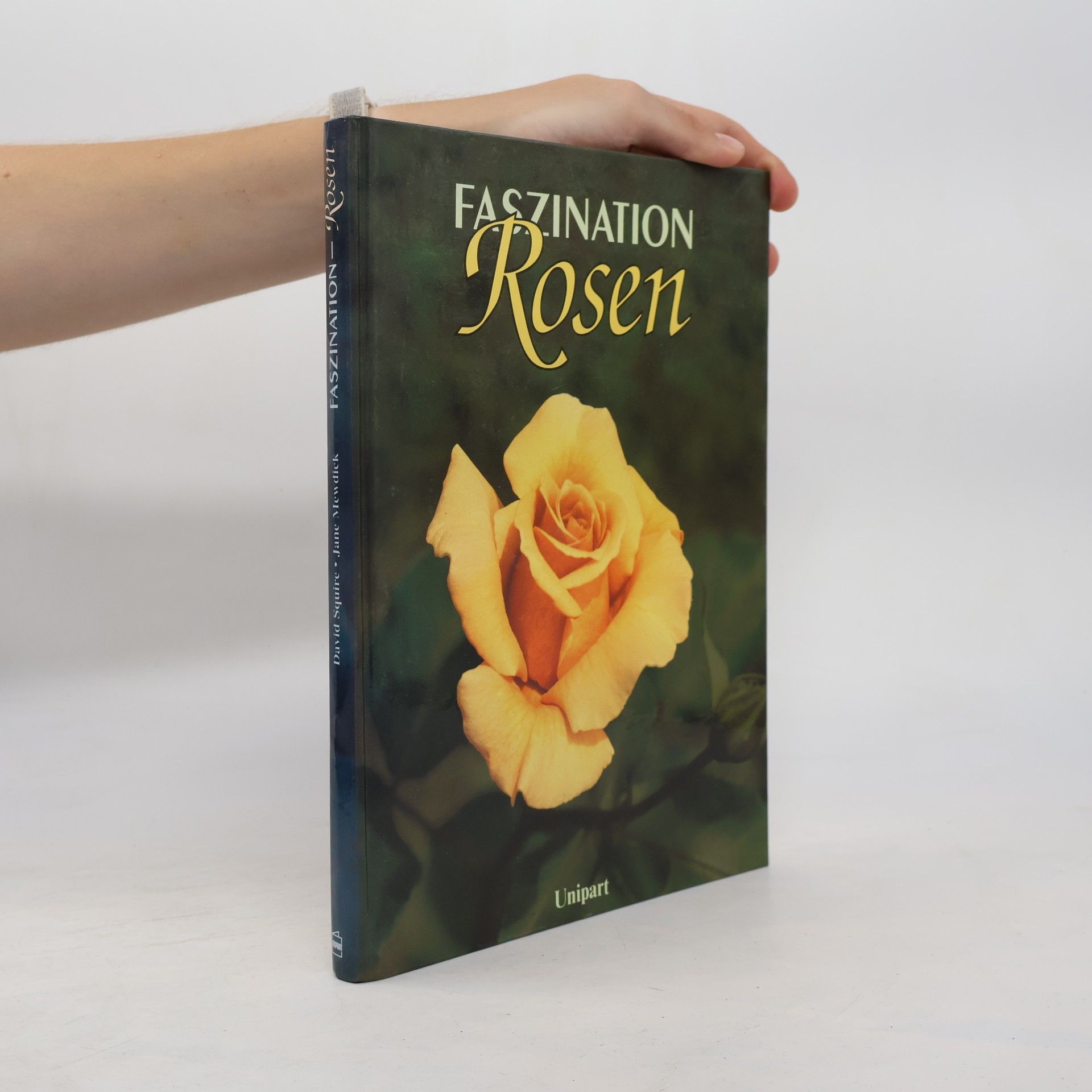 Faszination Rosen