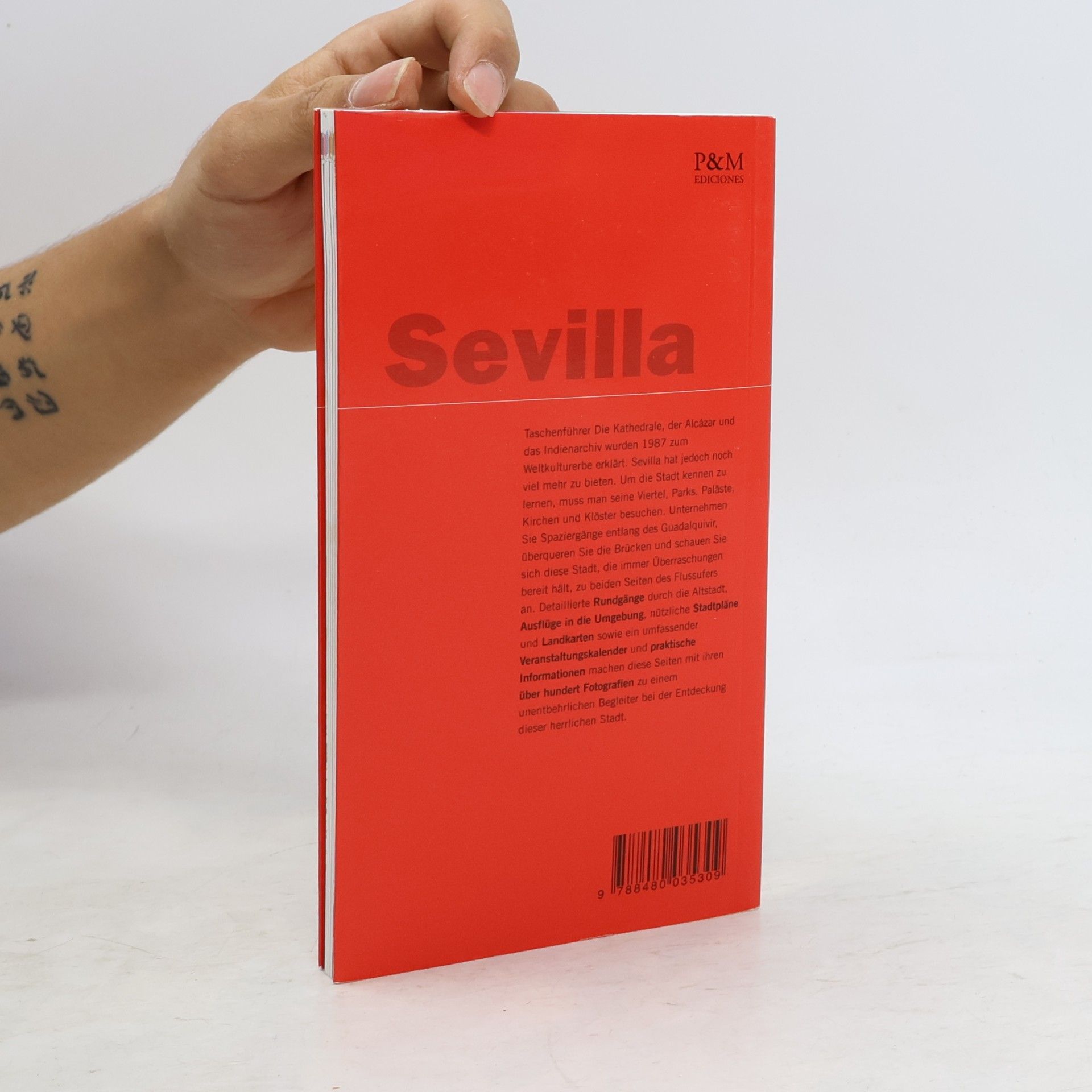 Fernando Olmedo Sevilla
