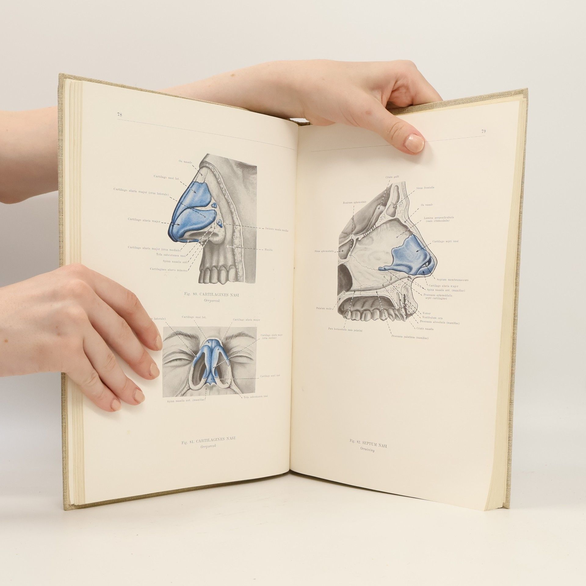 Ferenc Kiss Anatomischer Atlas des Menschlichen Körpers II.