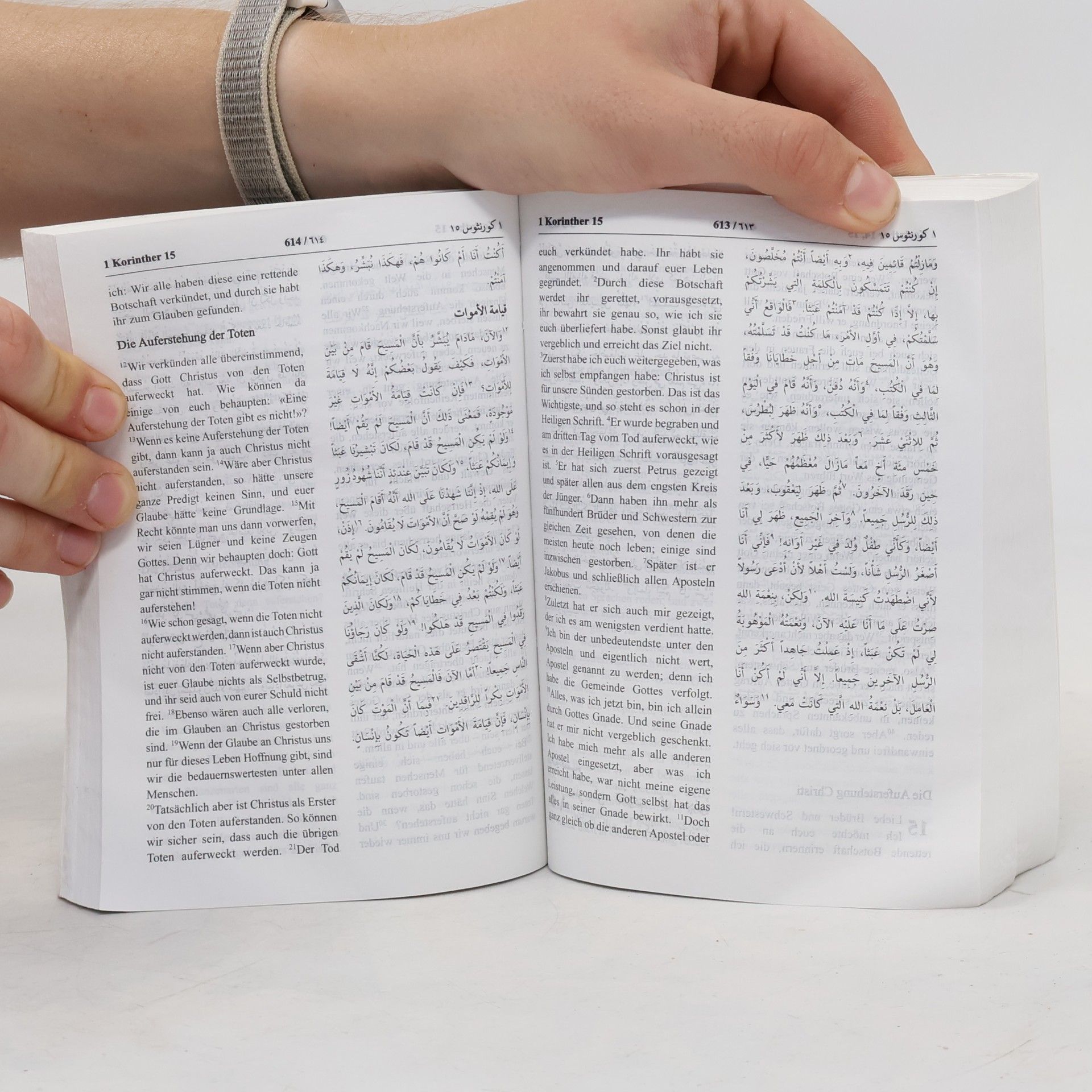 Kolektiv autorů Das Neue Testament