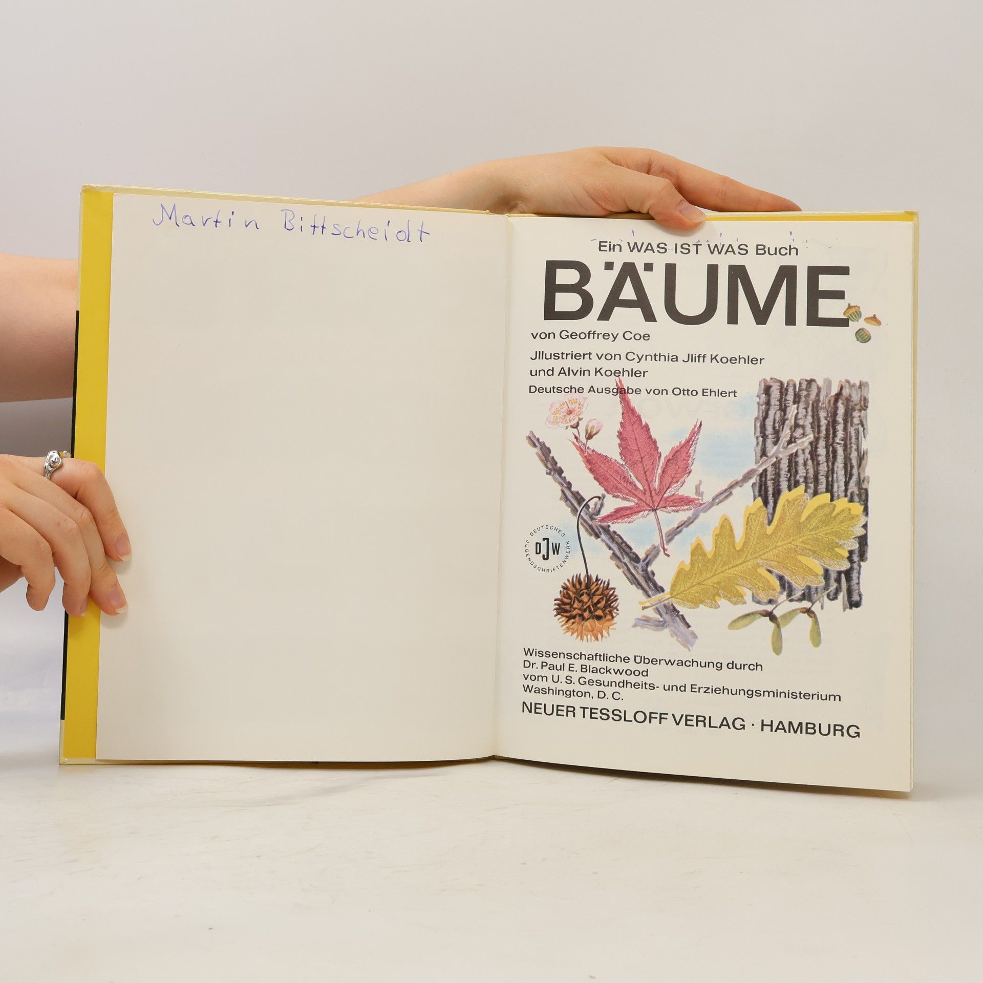Hannelore Gilsenbach Was ist Was 31. Bäume