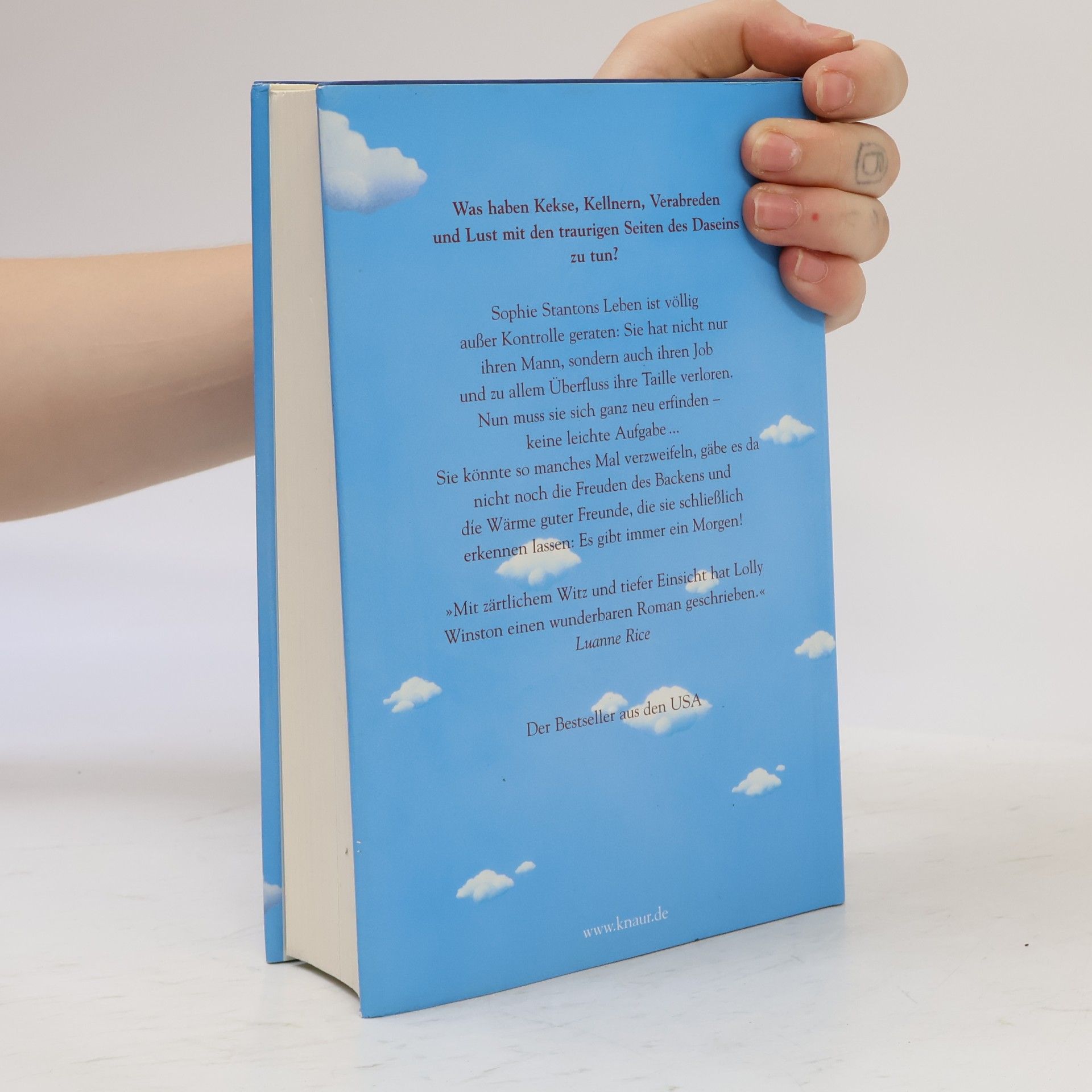 Lolly Winston Himmelblau und rabenschwarz