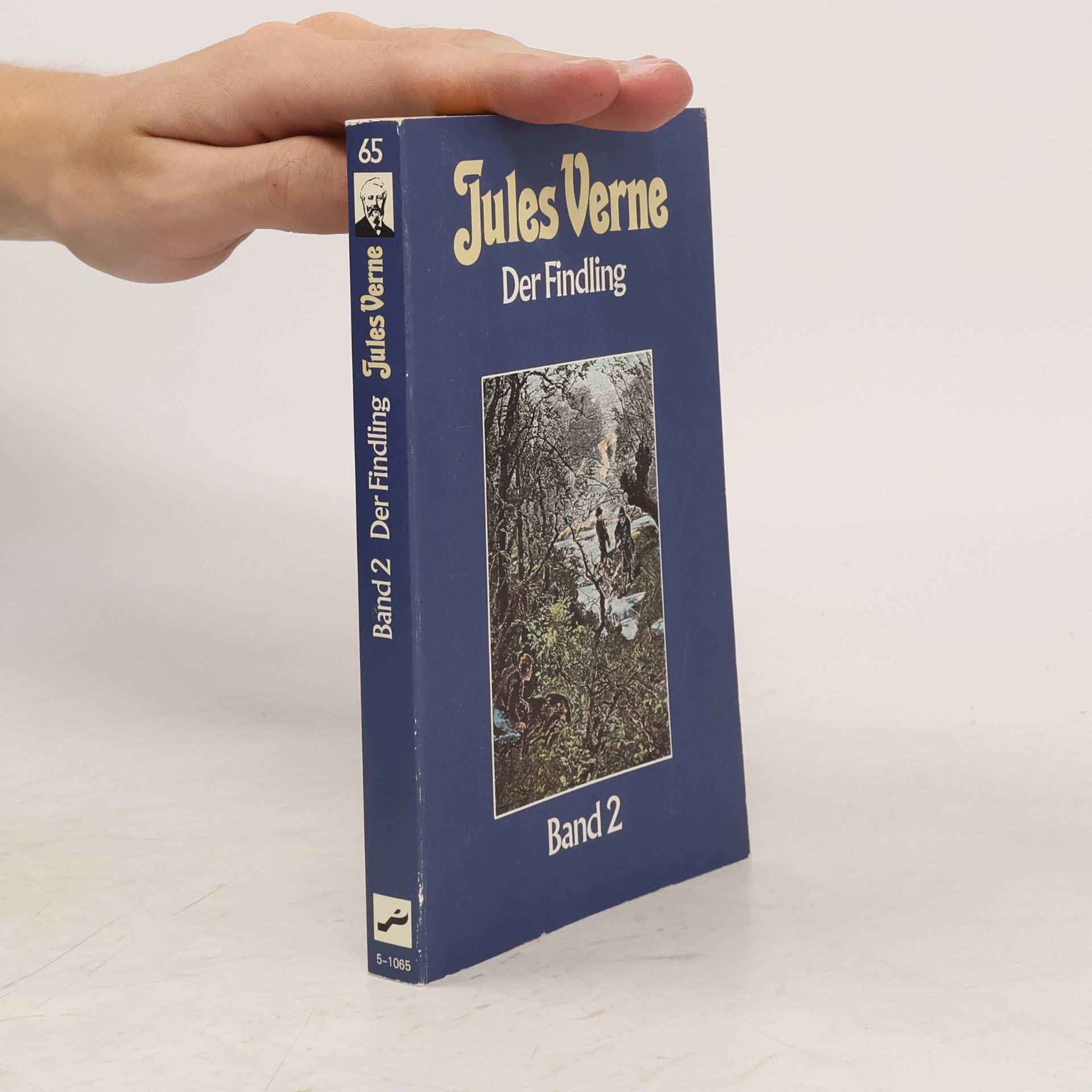 Jules Verne Collection Jules Verne Band 65. Der Findling. Band 2