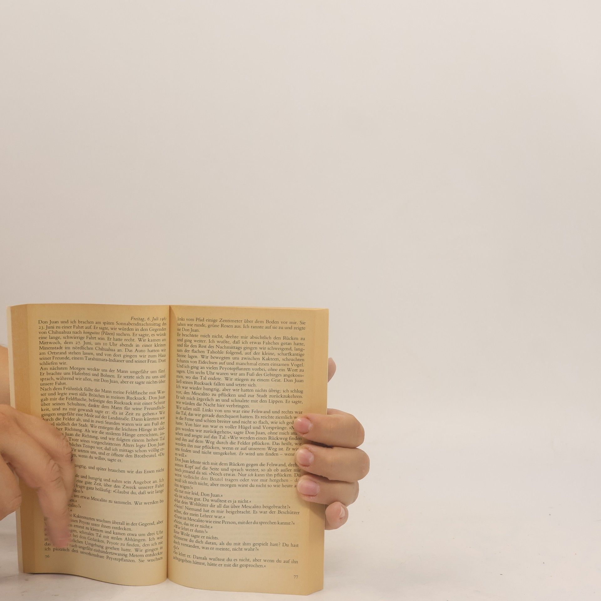 Carlos Castaneda Die Lehren des Don Juan