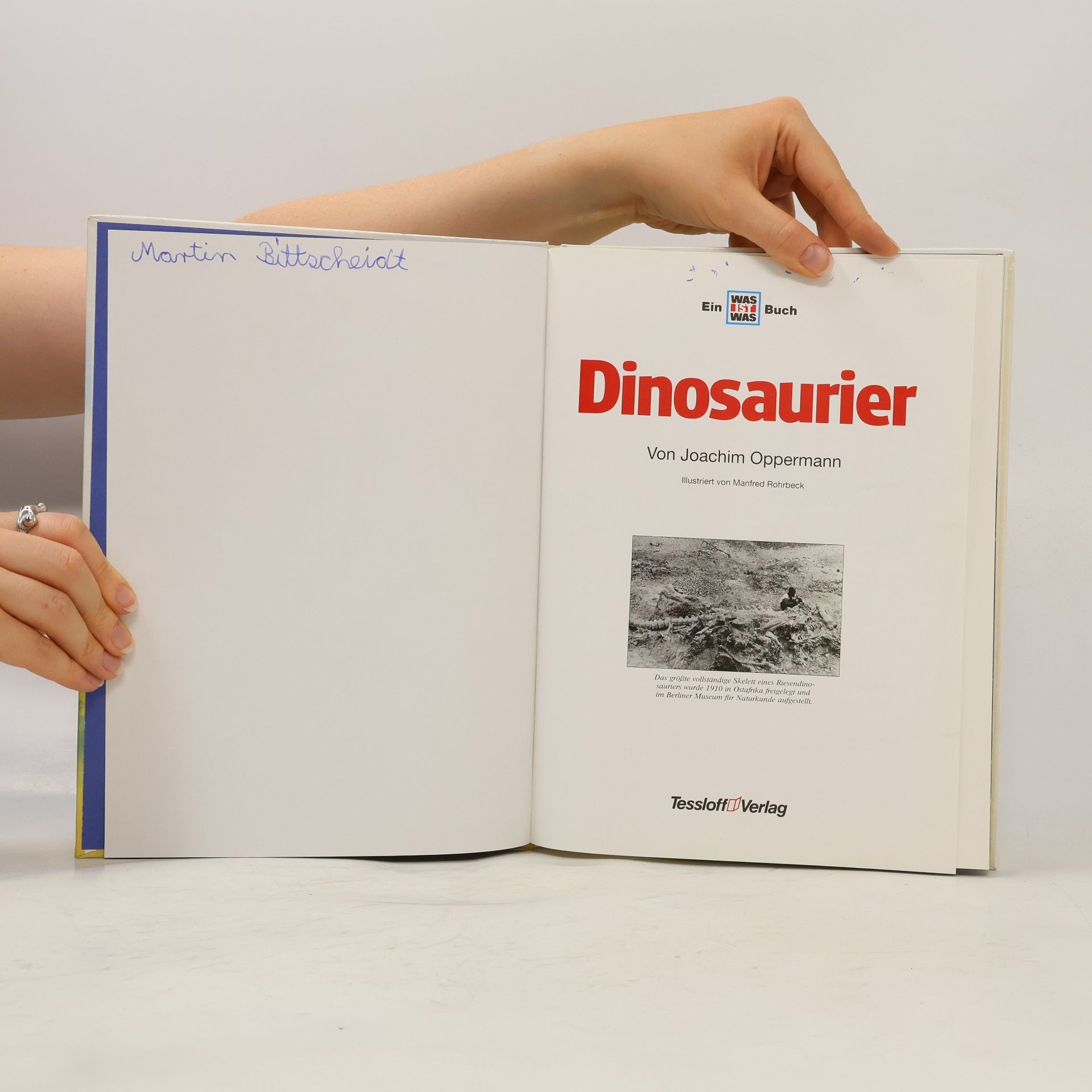 Joachim Oppermann Dinosaurier