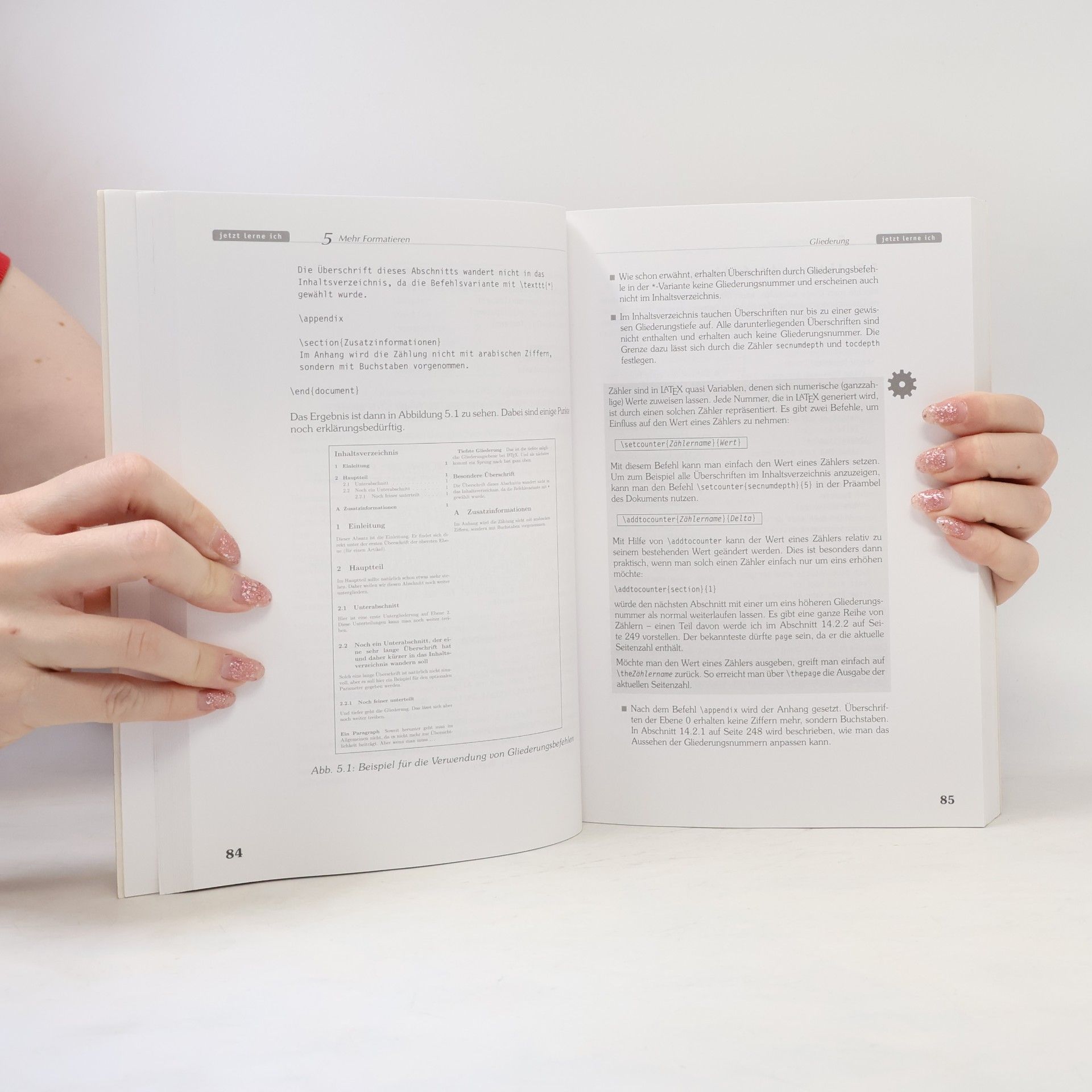 Thomas Demmig Jetzt lerne ich LaTeX 2ε [2 epsilon]