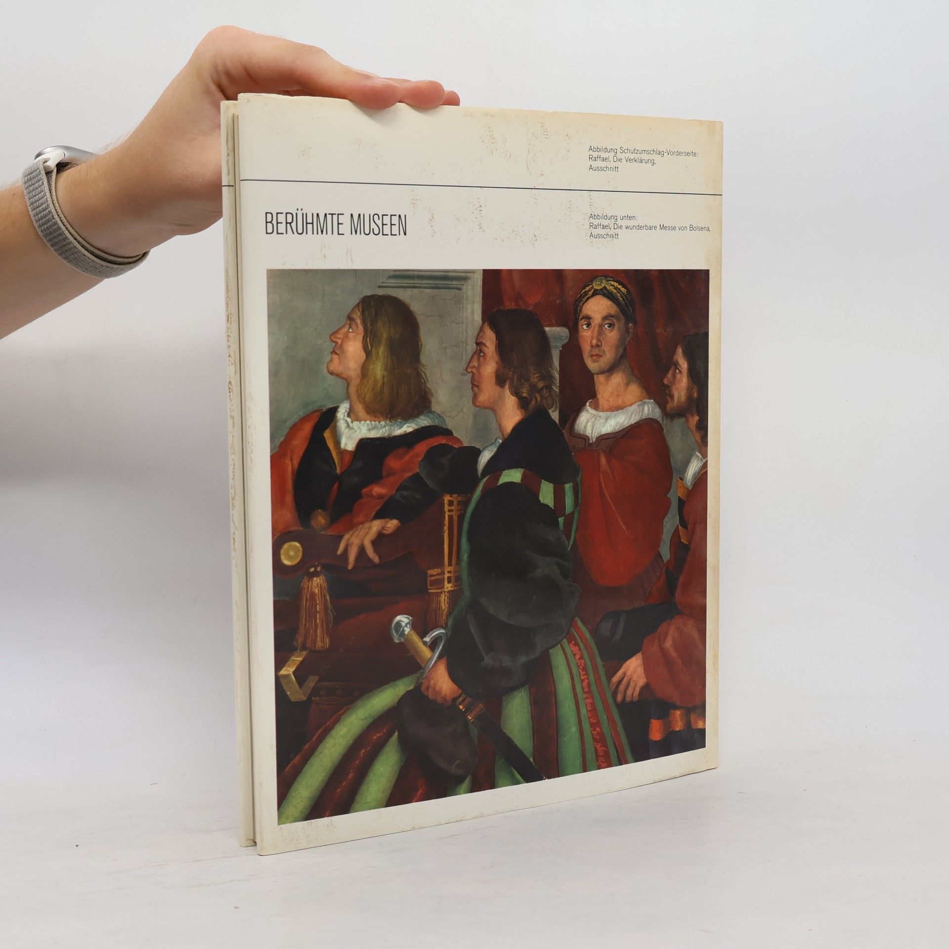 Autorenkollektiv Die Vatikanischen Museen Rom