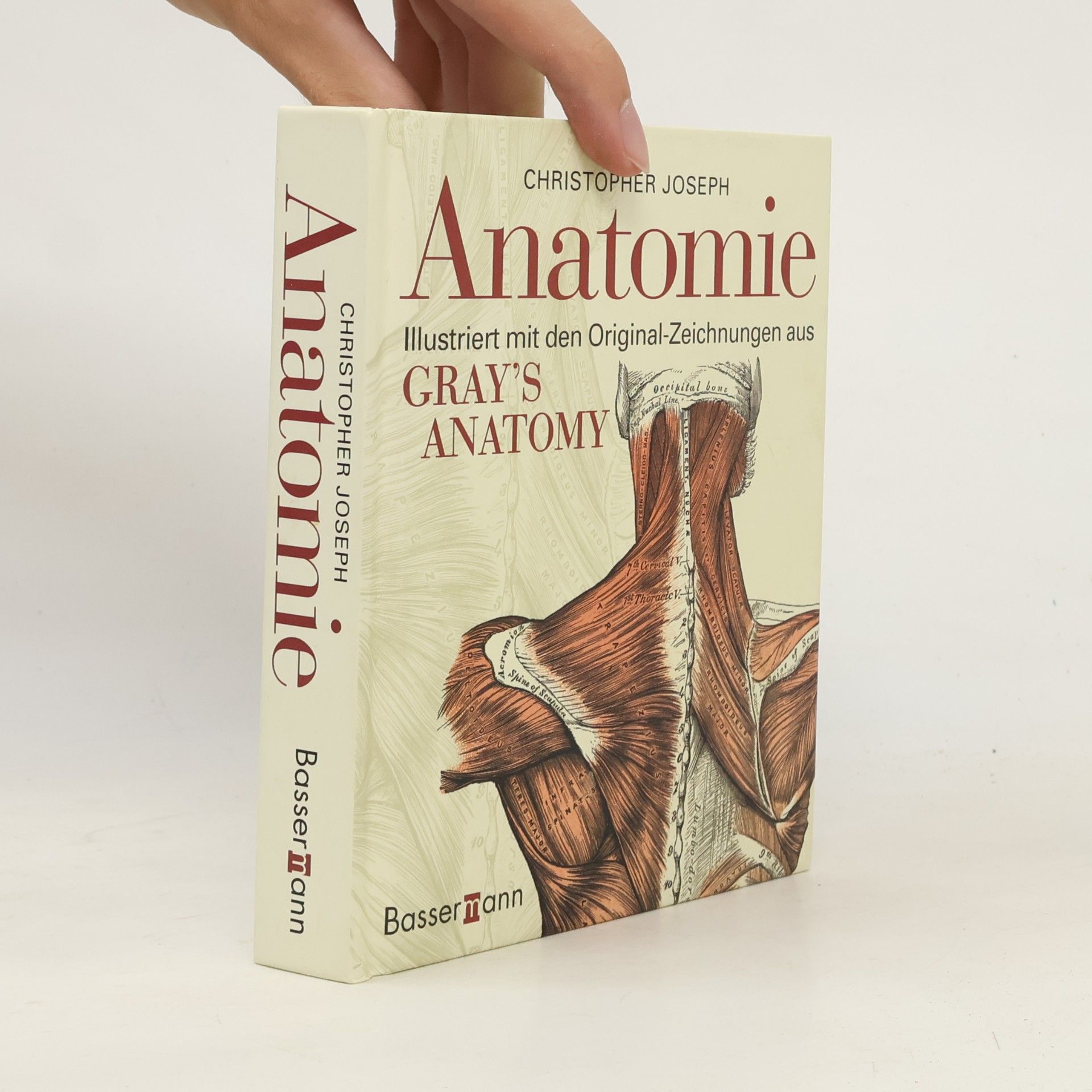 Anatomie