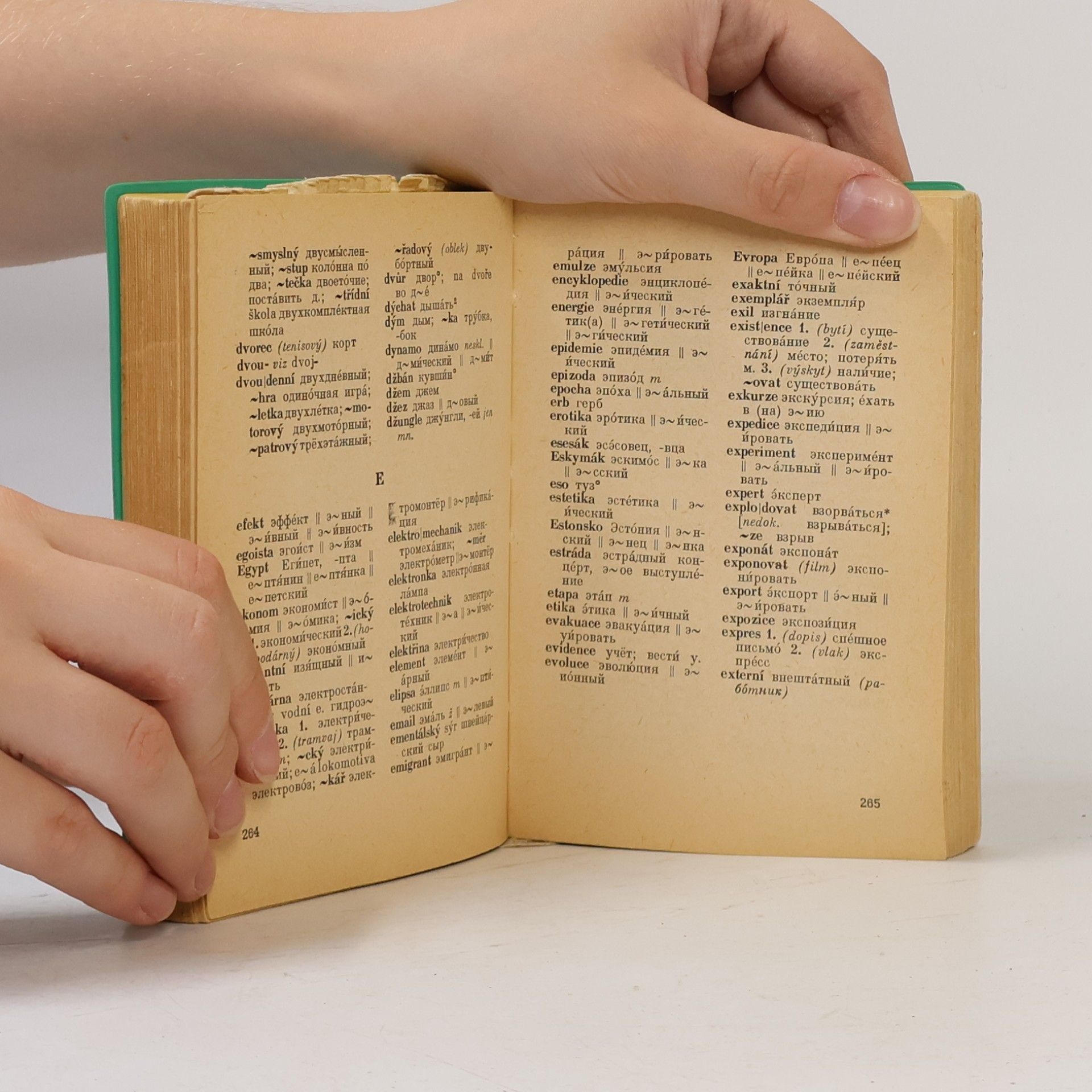 Autorenkollektiv Kapesní rusko-český a česko-ruský slovník