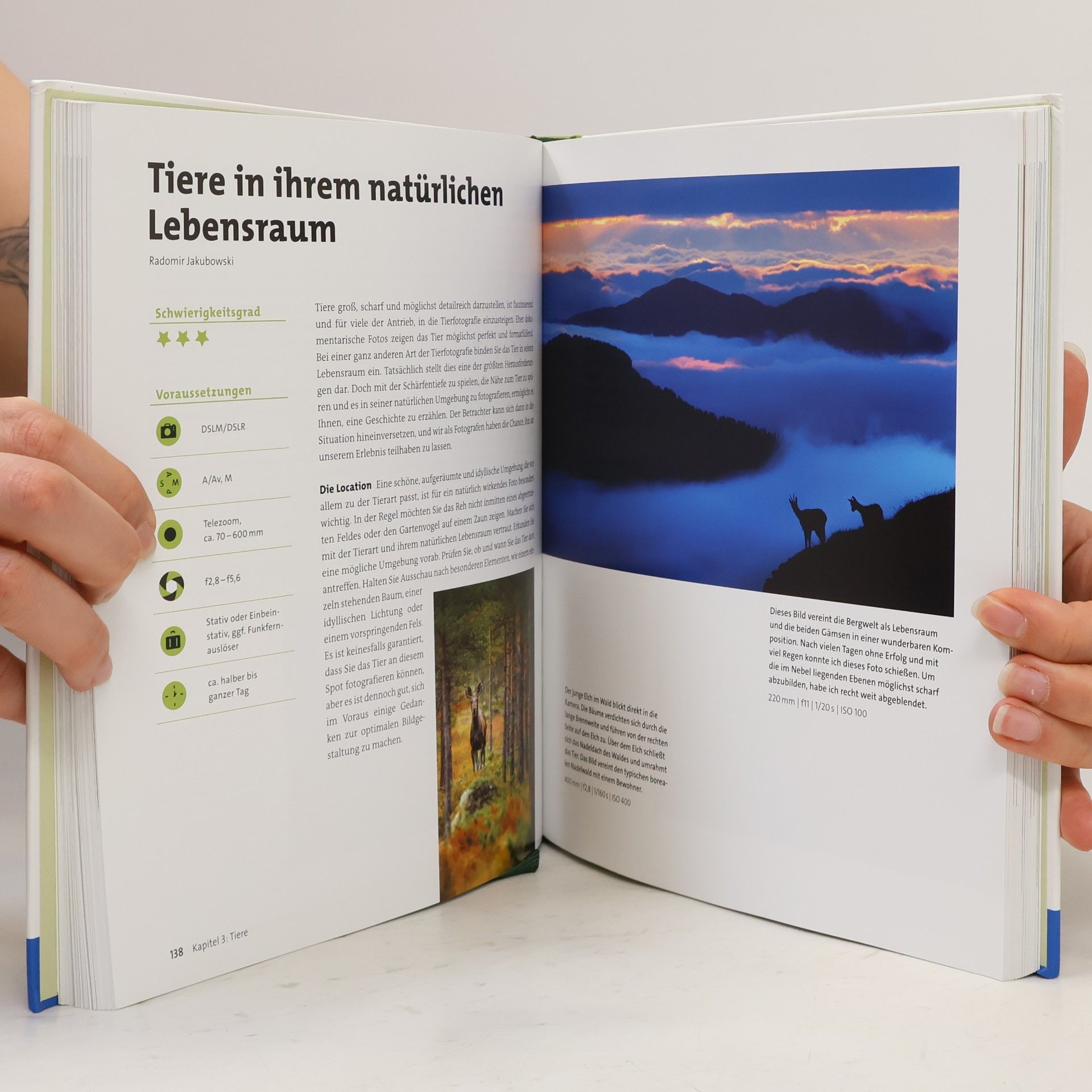 Daniel Eggert Fotografieren in der Natur