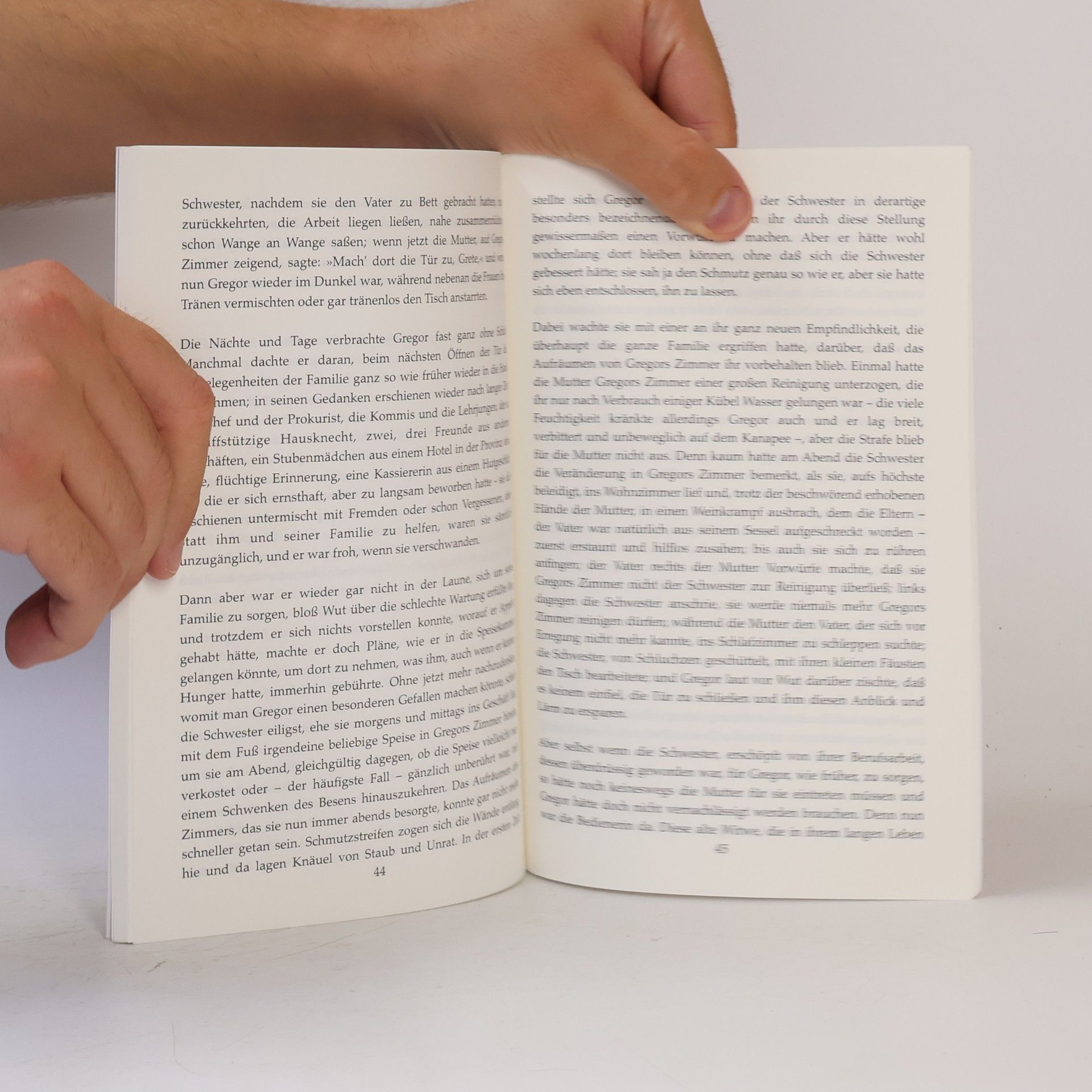 Franz Kafka Die Verwandlung
