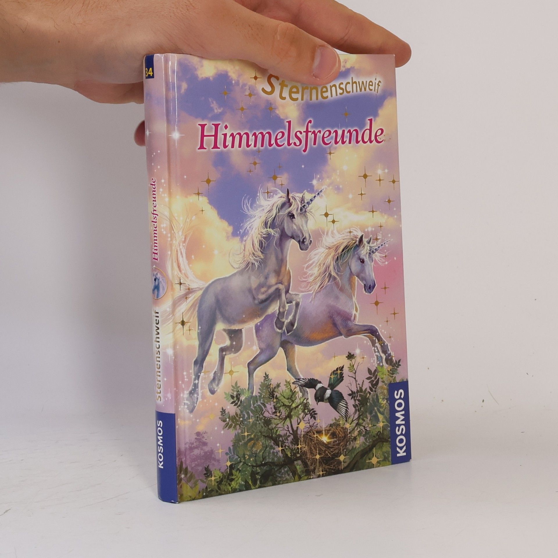 Ulrike Leistenschneider Himmelsfreunde