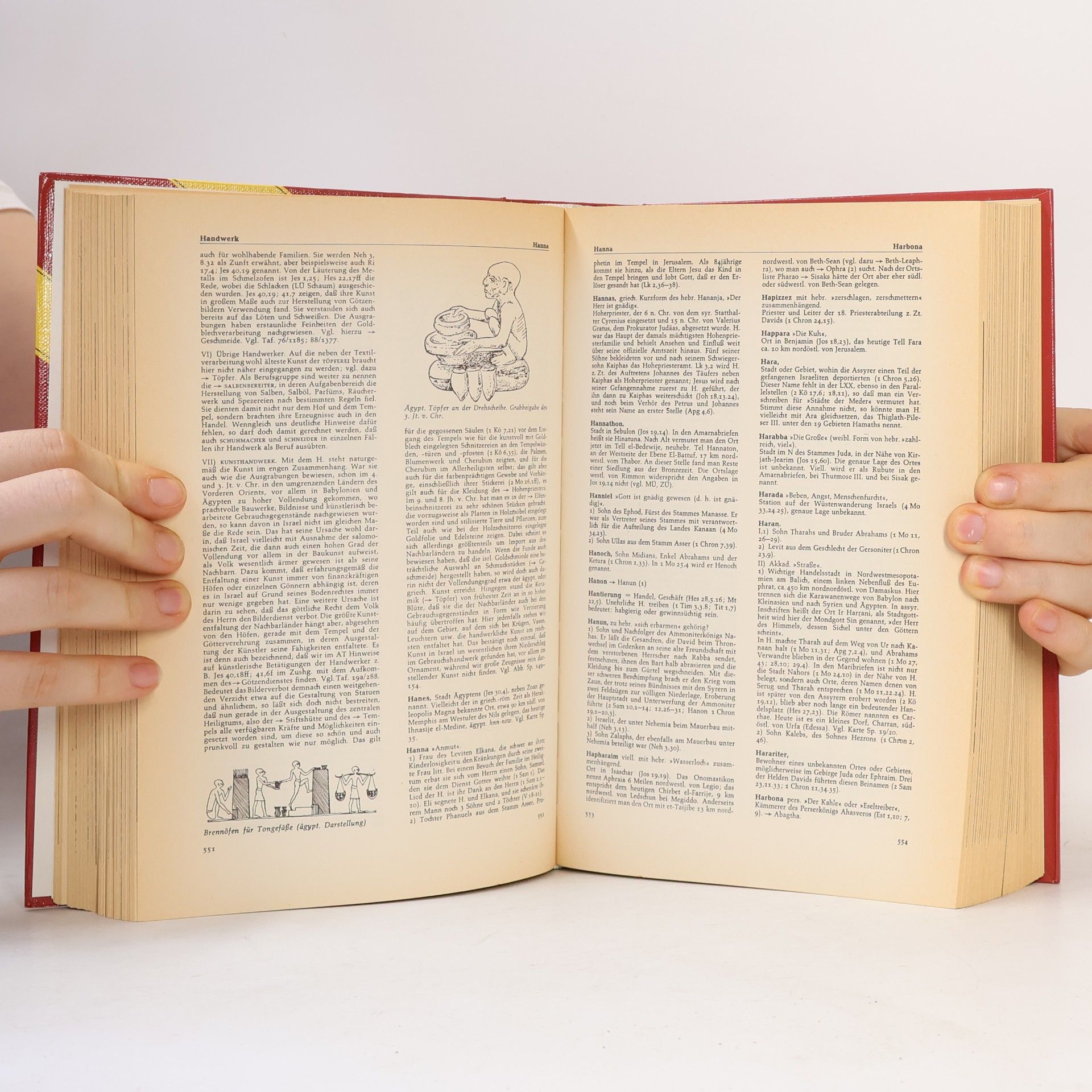 Fritz Rienecker Lexikon zur Bibel