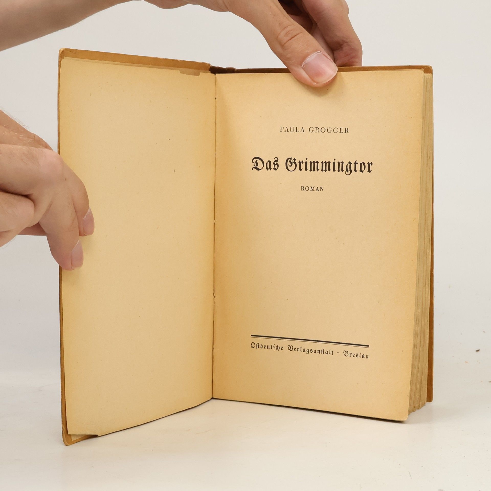 Paula Grogger Das Grimmingtor