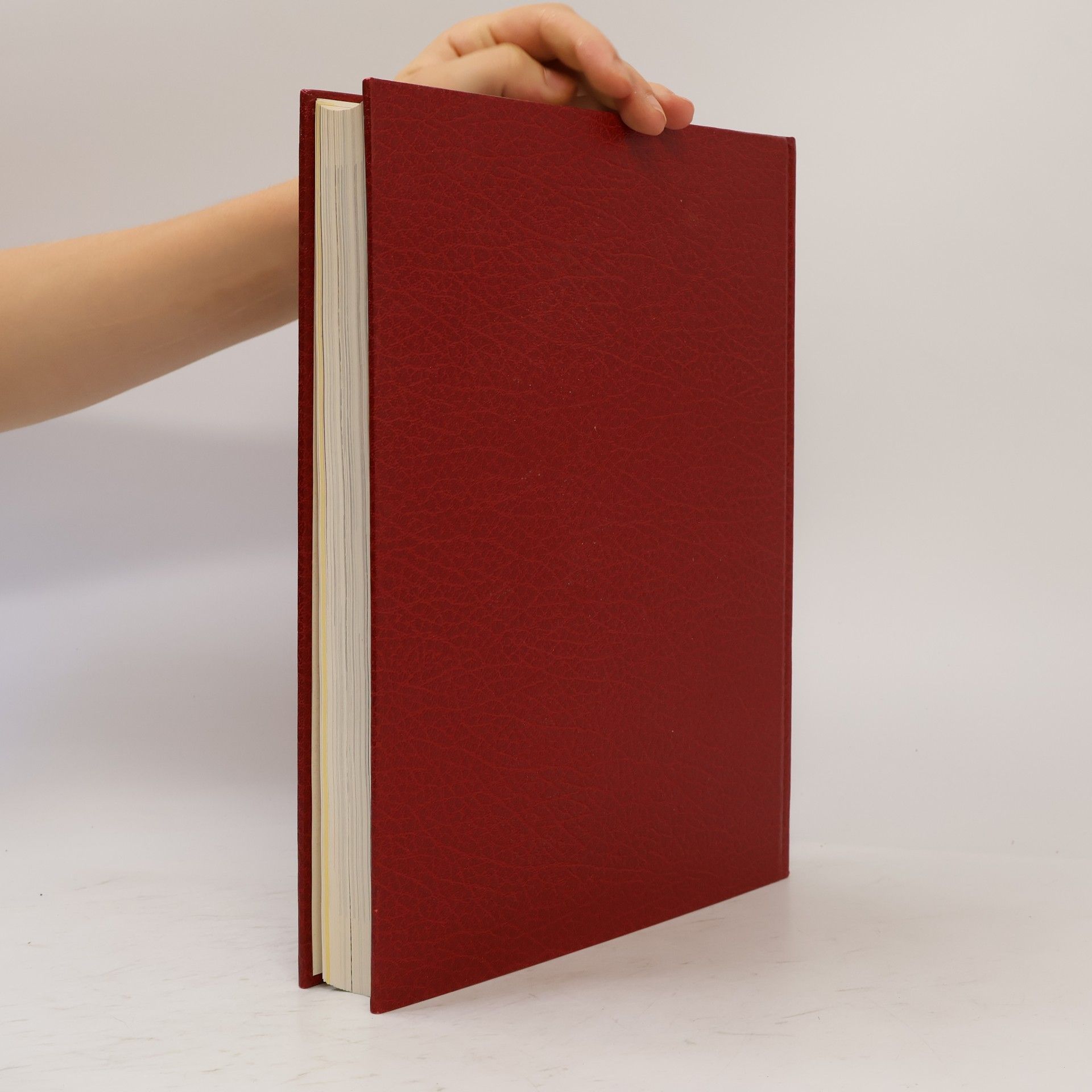 Bernhard Uhde Die Bibel und das Christentum 8
