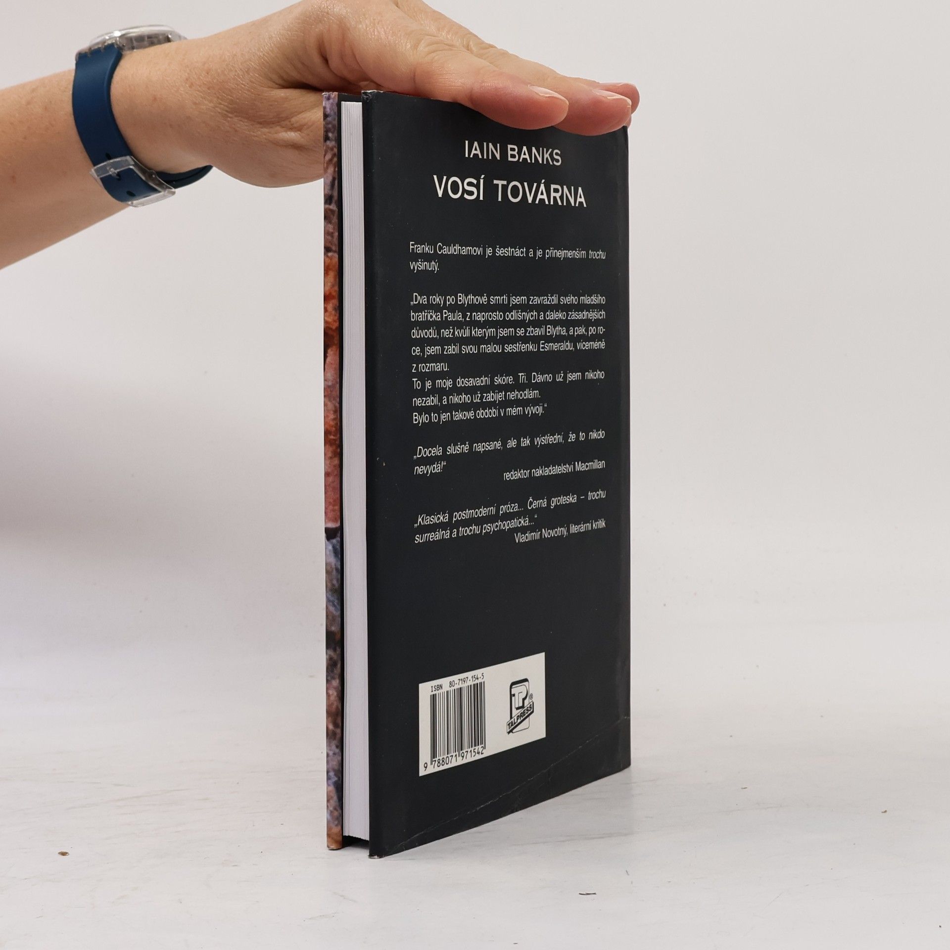 Iain Banks Vosí továrna