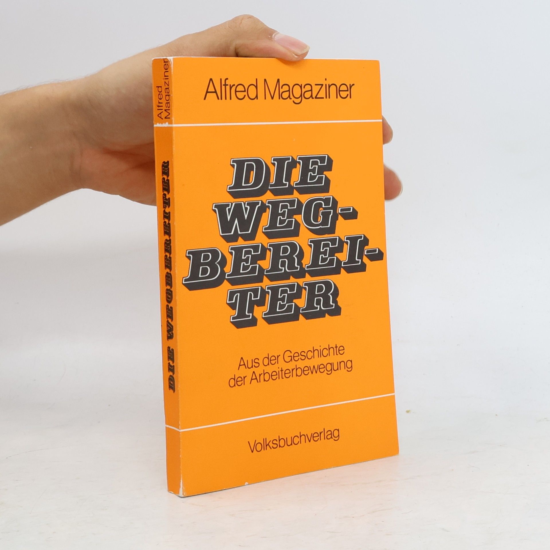 Alfred Magaziner Die Wegbereiter