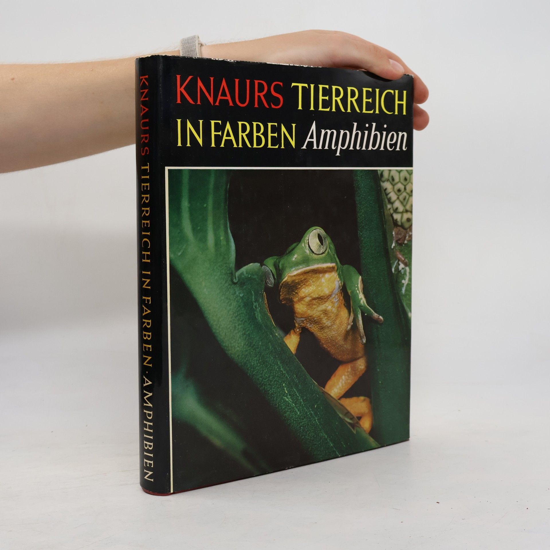 Doris Cochran Knaurs Tierreich in Farben. Amphibien