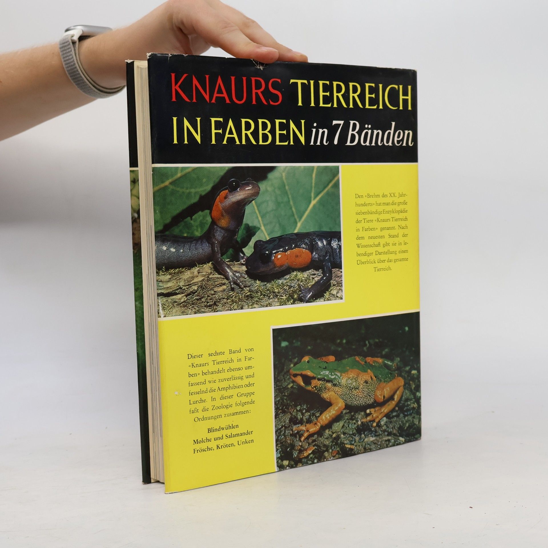 Doris Cochran Knaurs Tierreich in Farben. Amphibien