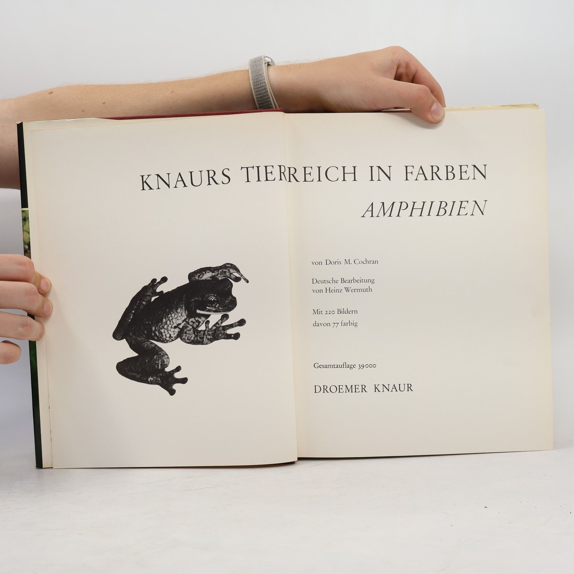 Doris Cochran Knaurs Tierreich in Farben. Amphibien