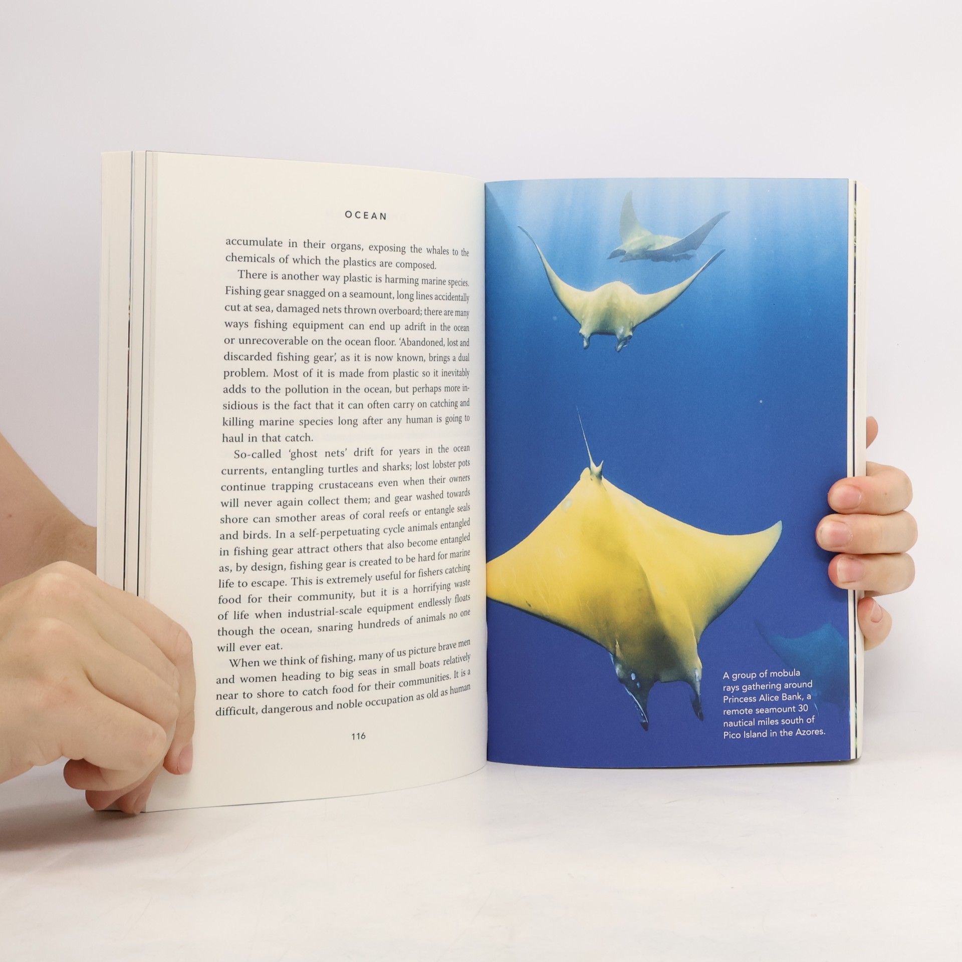 David Attenborough Ocean