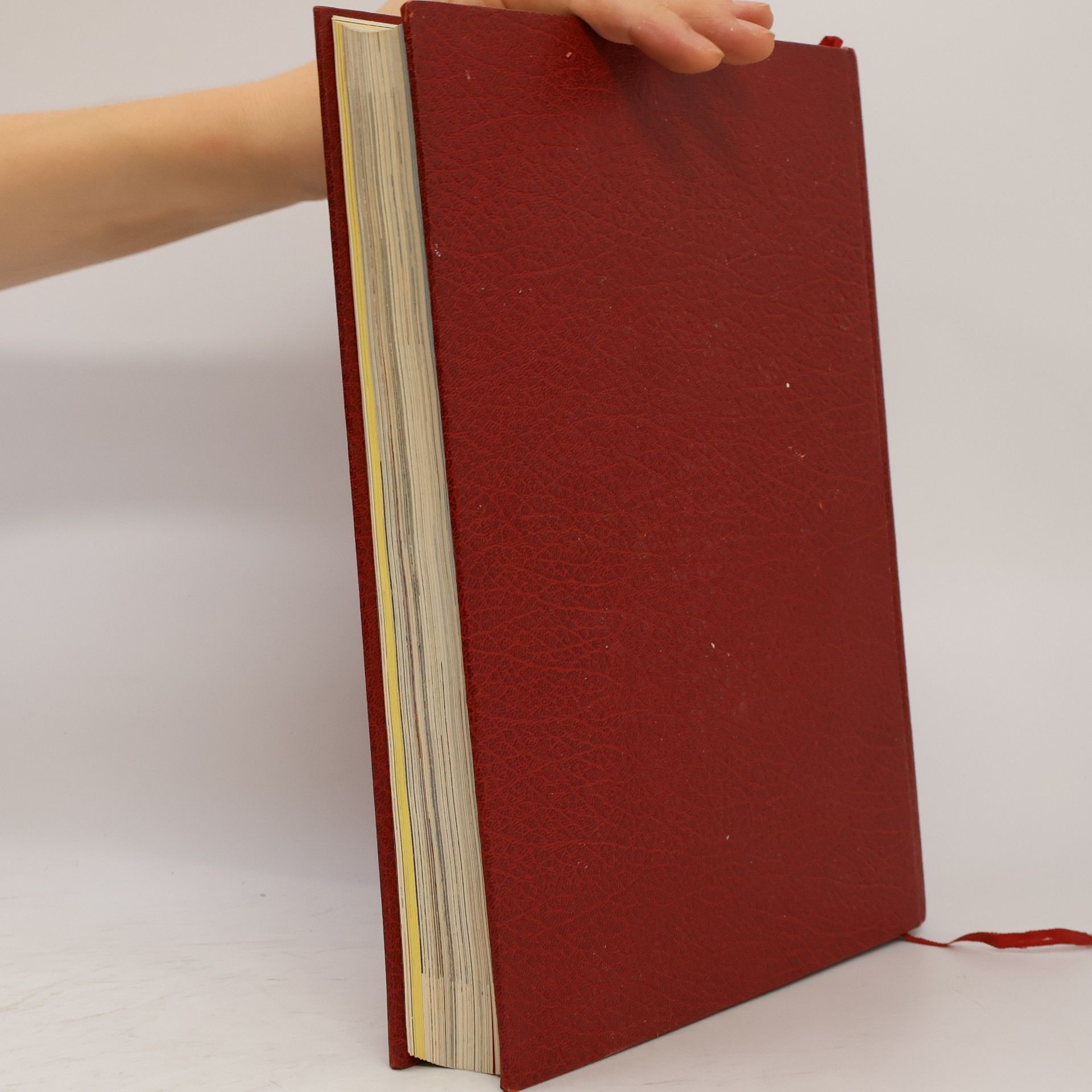 Autorenkollektiv Die Bibel 1