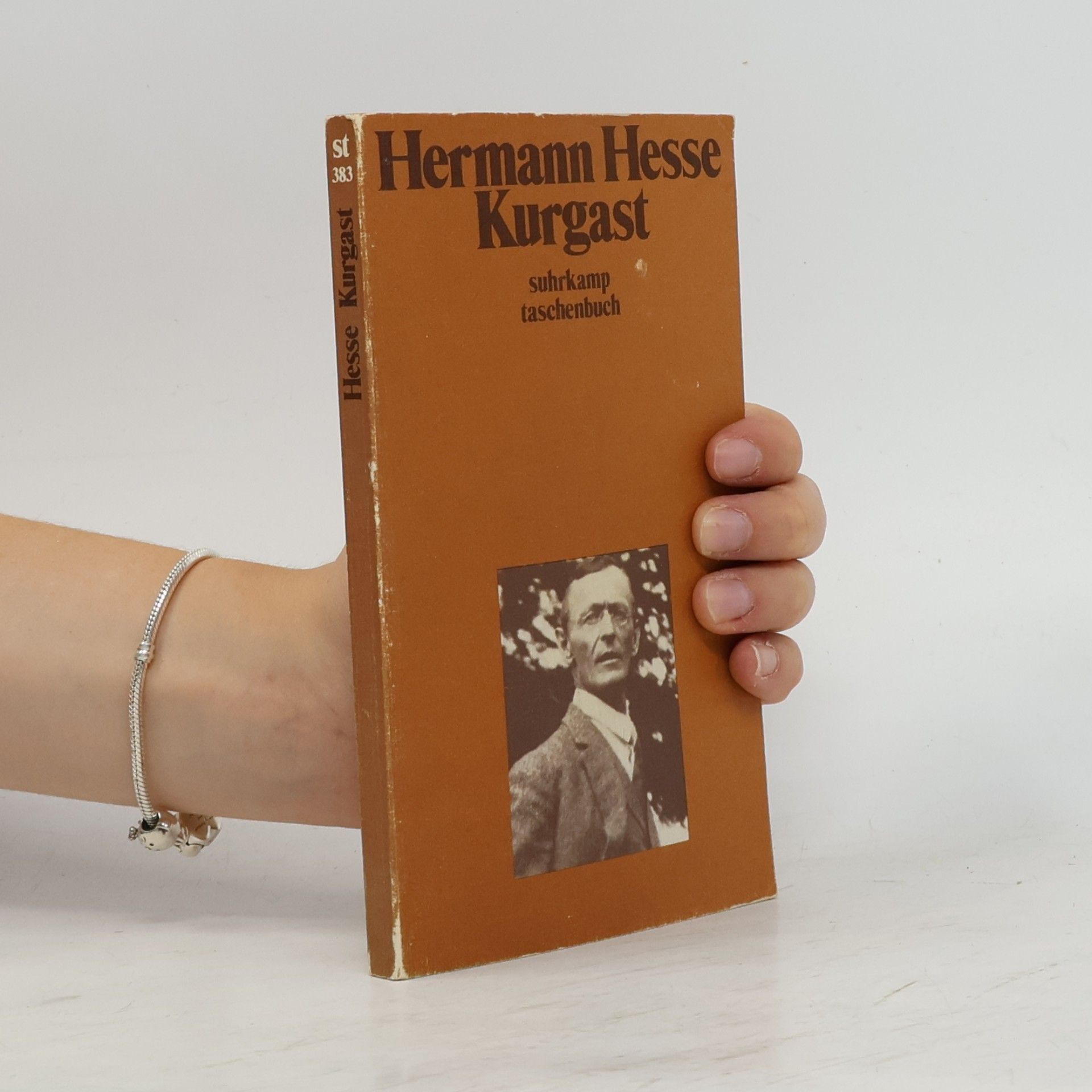Hermann Hesse Kurgast