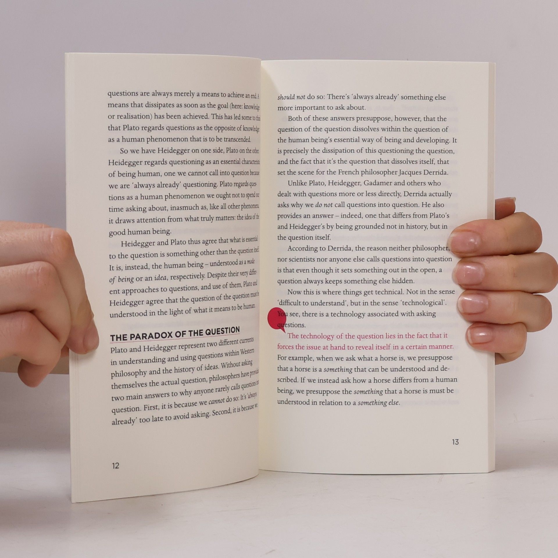 Pia Lauritzen Reflections - 4: Questions
