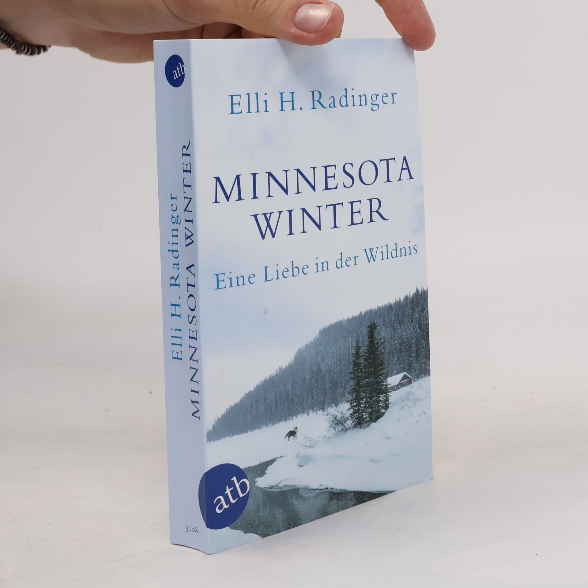 Minnesota Winter