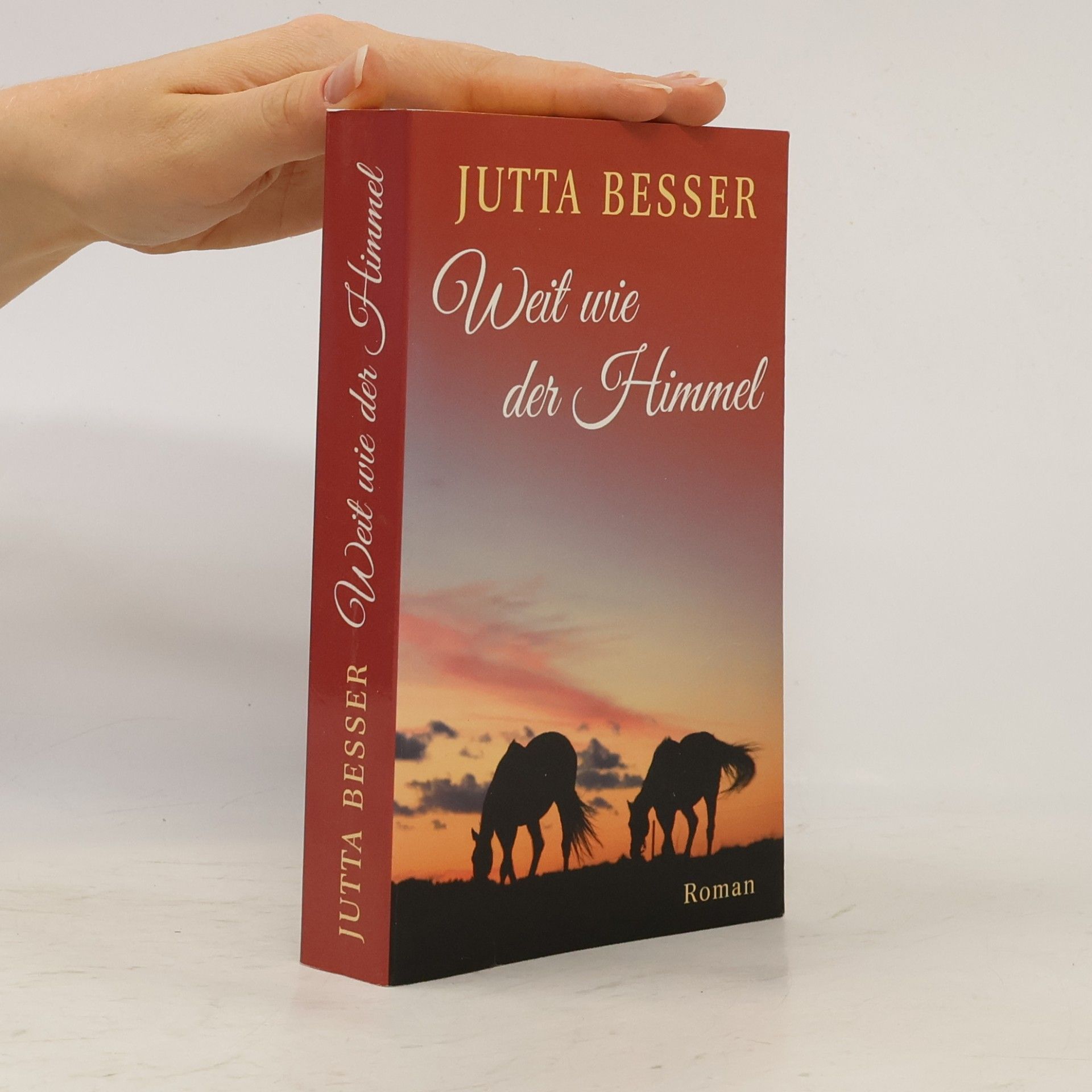Jutta Besser Weit wie der Himmel