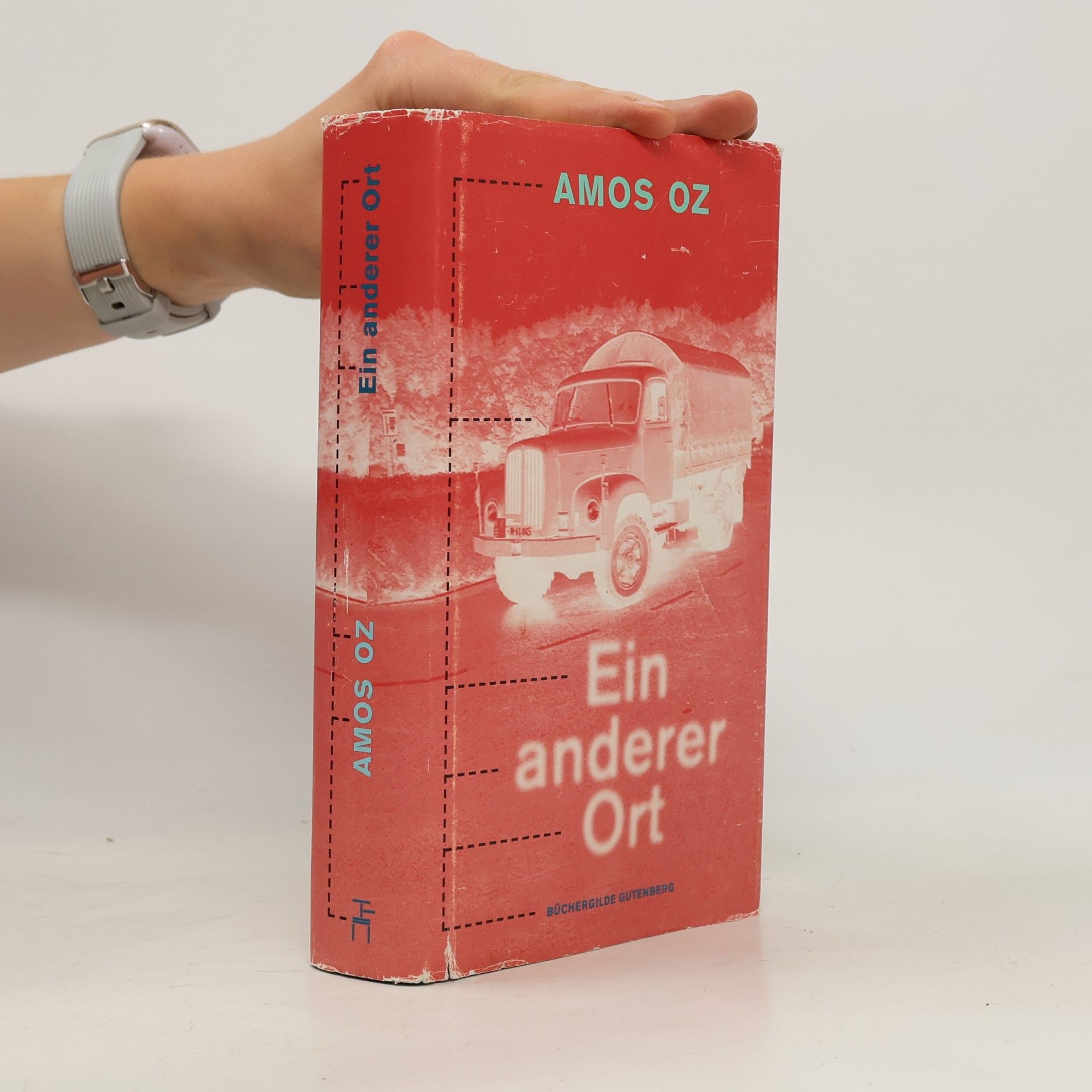 Amos Oz Ein anderer Ort