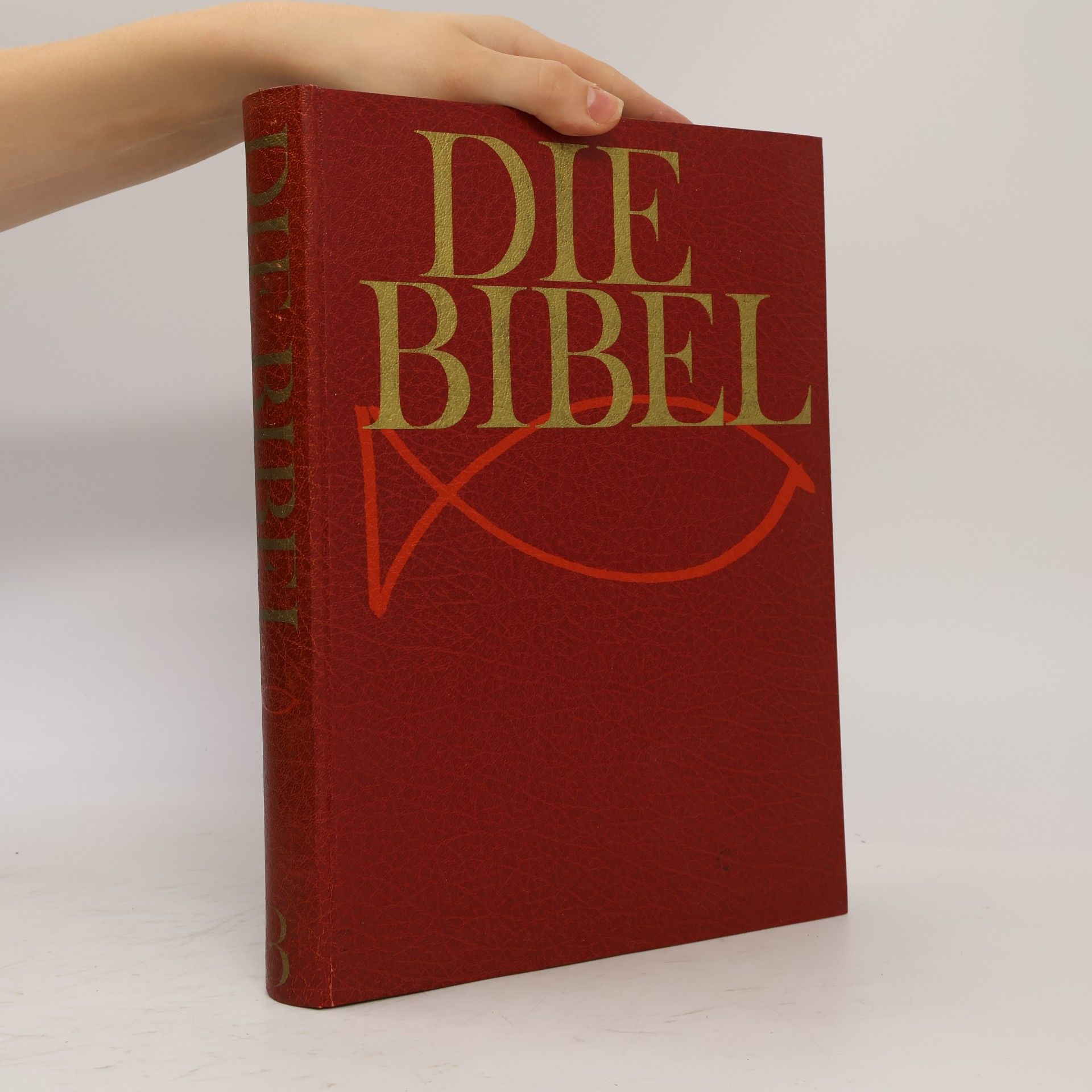 Autorenkollektiv Die Bibel 3