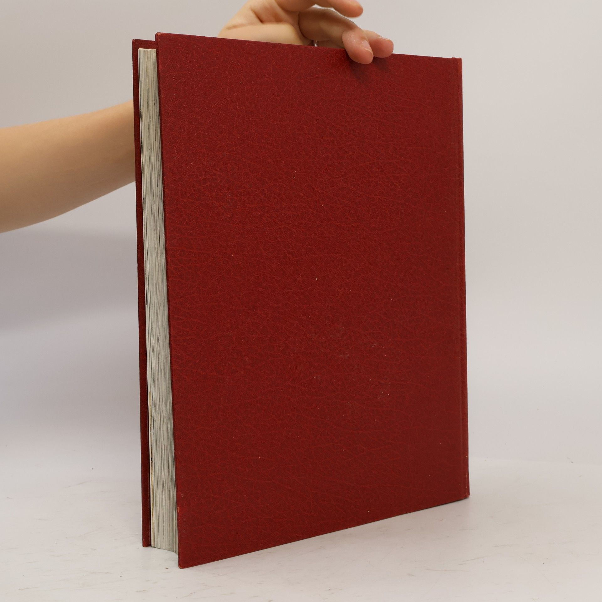 Autorenkollektiv Die Bibel 3