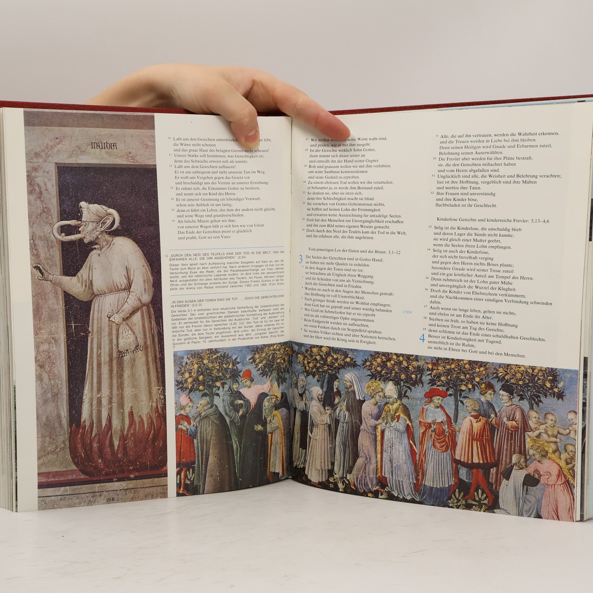Autorenkollektiv Die Bibel 3