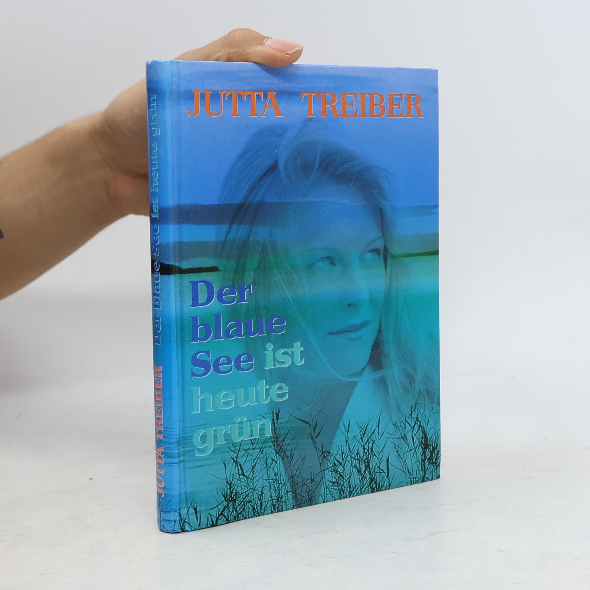 Jutta Treiber Der blaue See ist heute grün