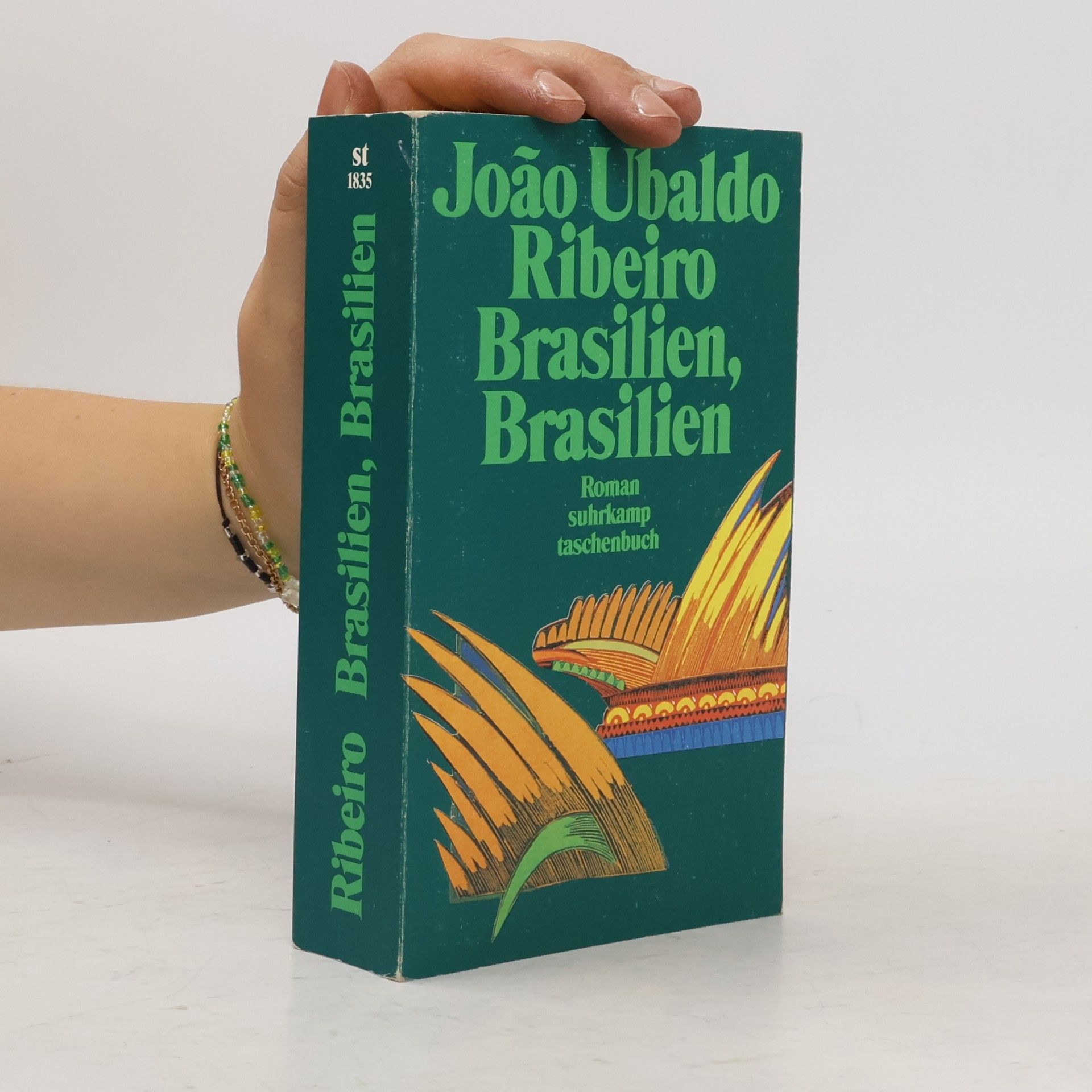 João Ubaldo Ribeiro Brasilien, Brasilien