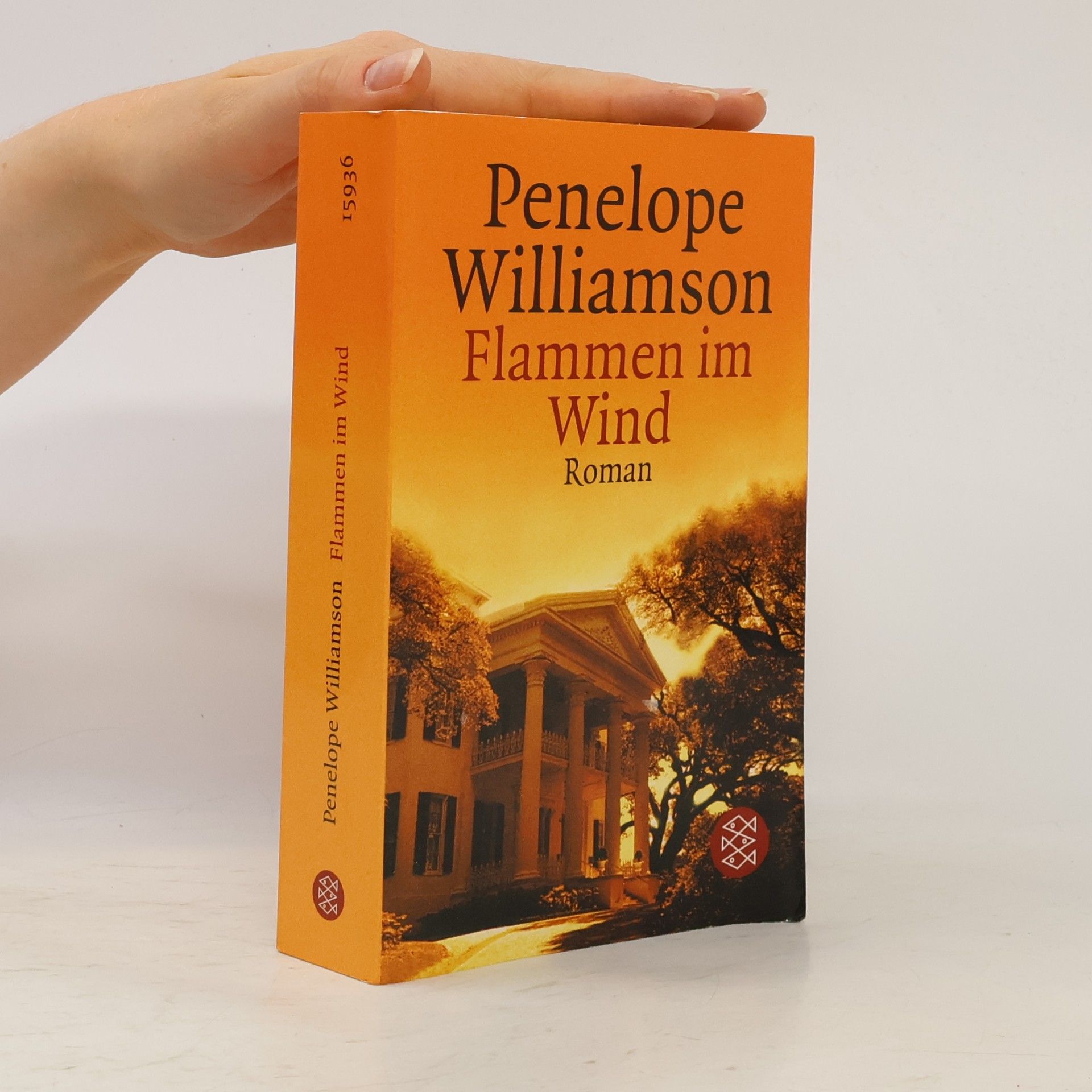 Penelope Williamson Flammen im Wind
