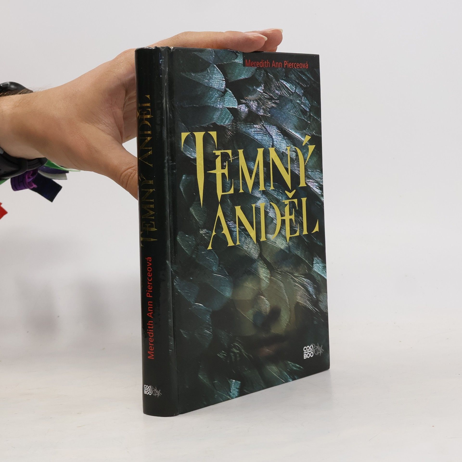 Meredith Ann Pierce Temný anděl