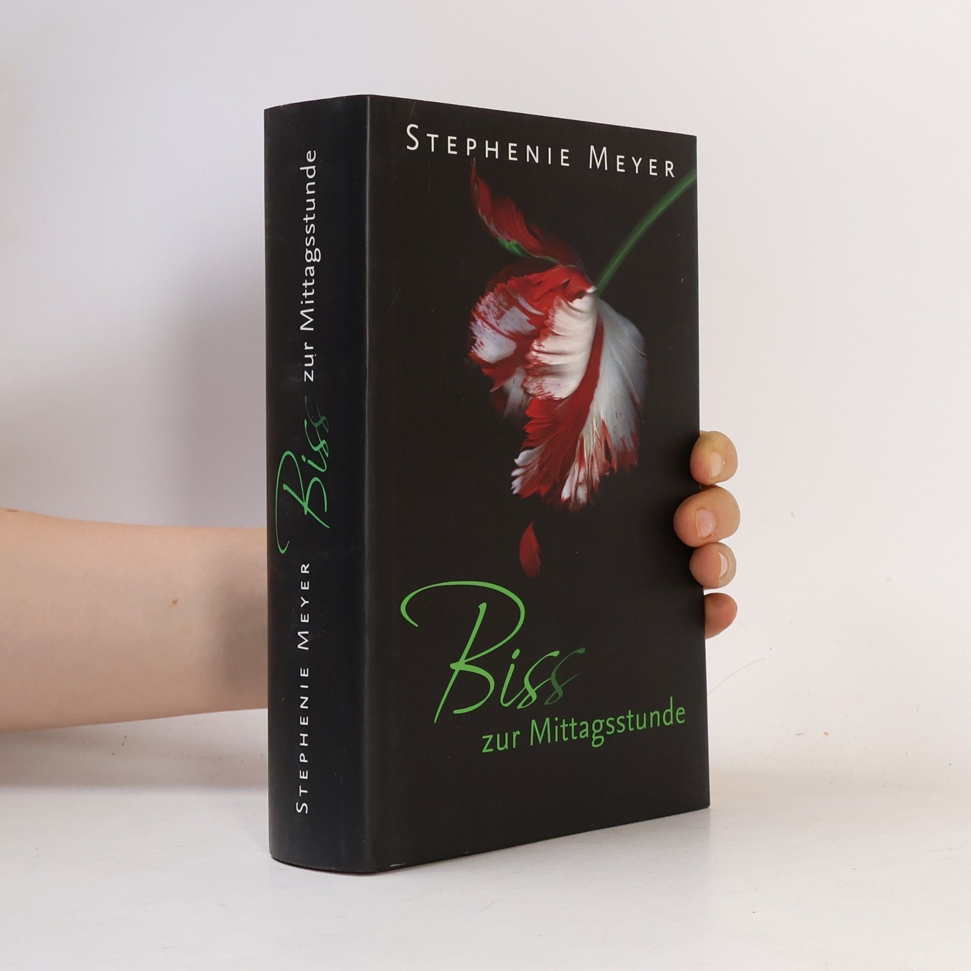 Stephanie Meyers Biss zur Mittagsstunde