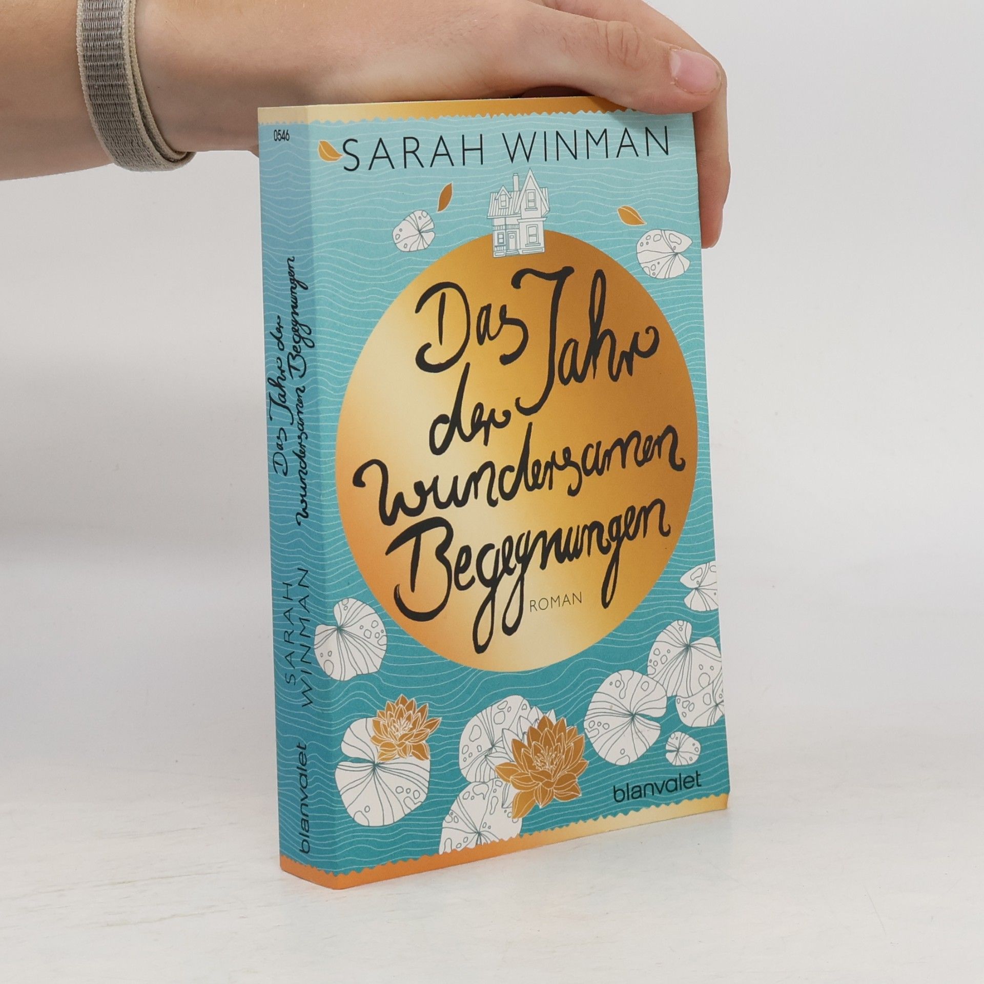 Sarah Winman Das Jahr der wundersamen Begegnungen