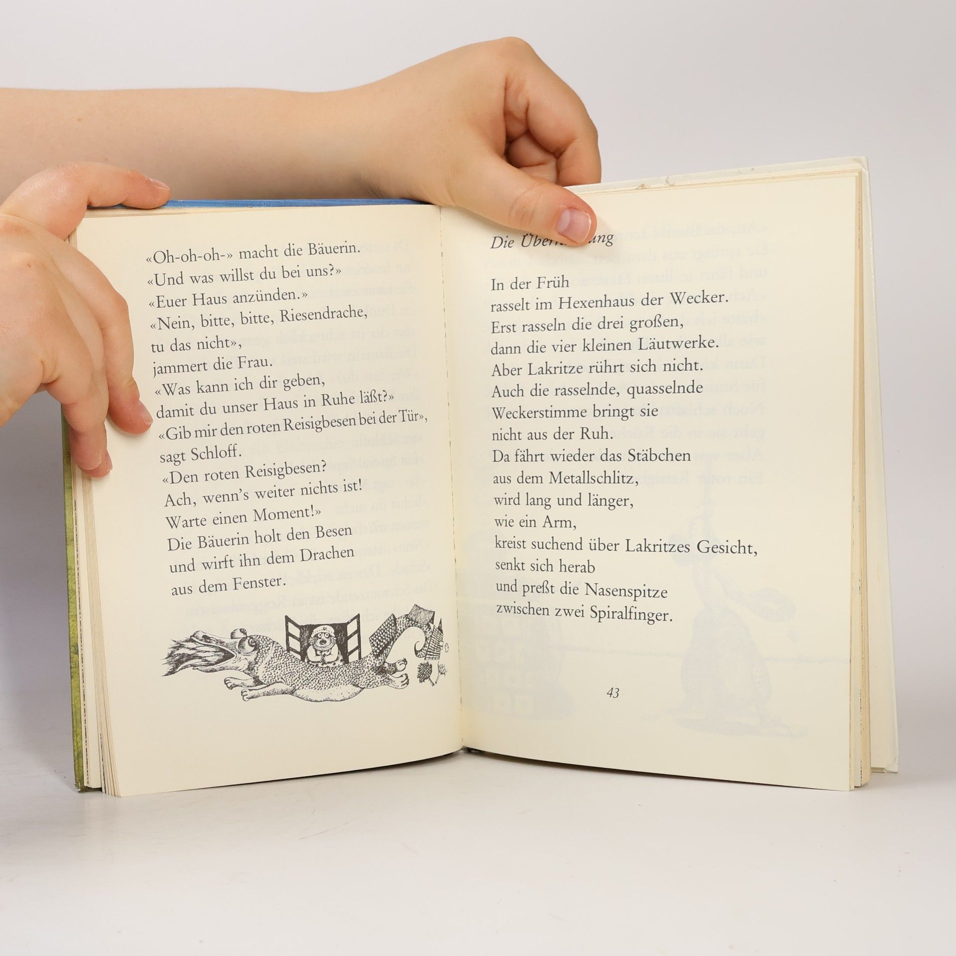 Eveline Hasler Die Hexe Lakritze